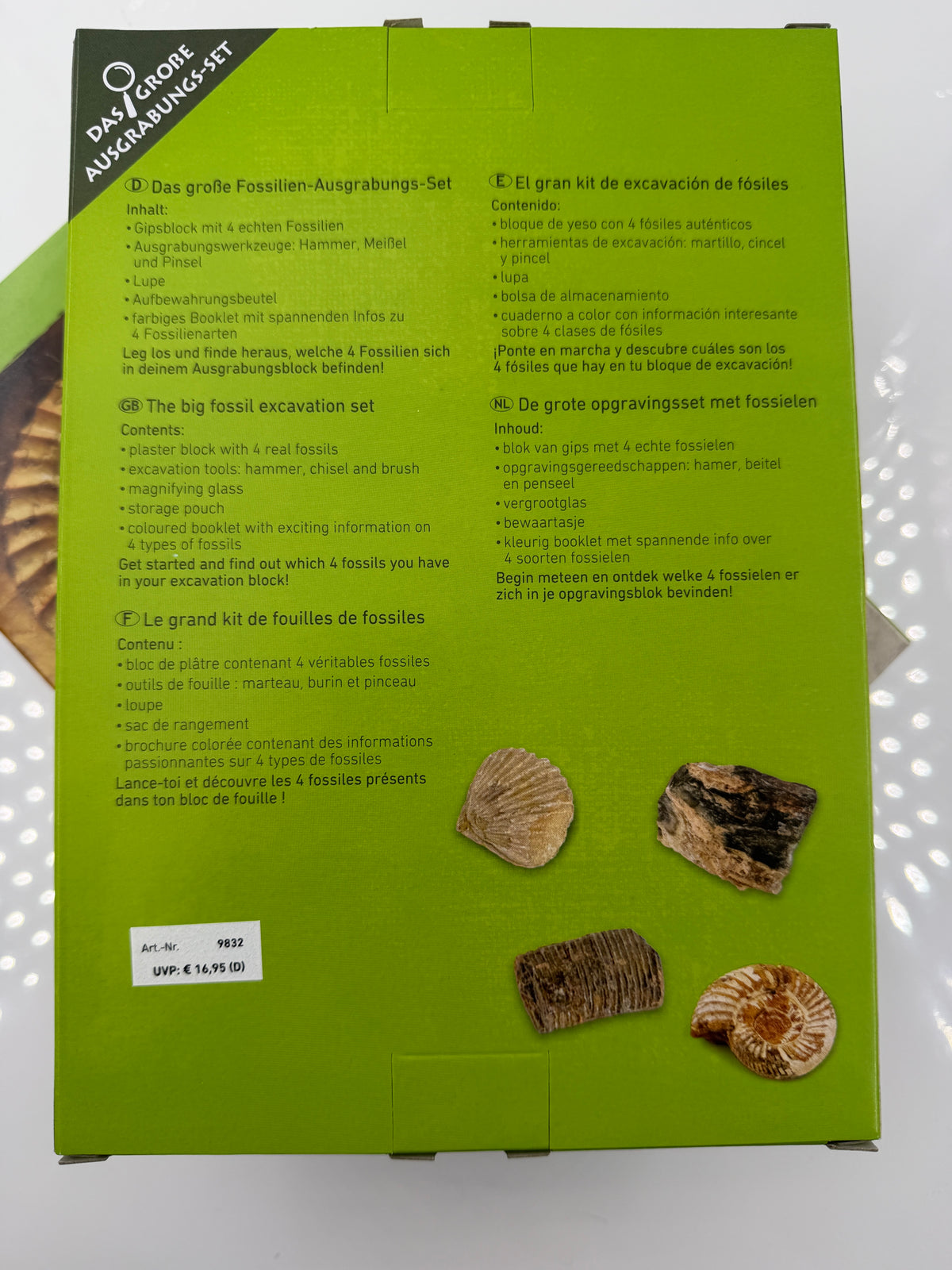 Fossilien-Ausgrabungsset mit Gipsblock, vier echten Fossilien, Holzwerkzeugen, Lupe, Aufbewahrungsbeutel und Booklet