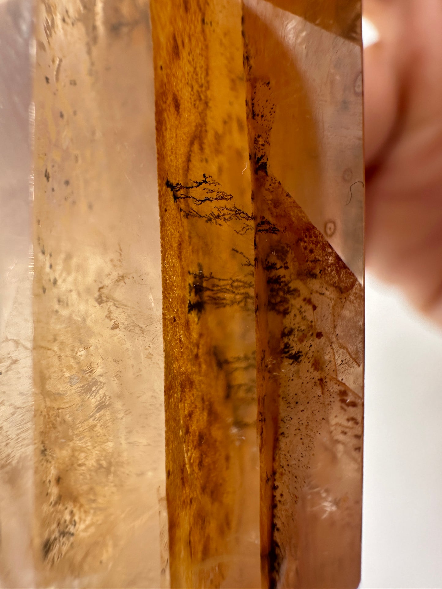 Dendritenquarz Spitze DS55, 8,4 cm, mit baumförmigen Dendriteneinschlüssen und warmen Eisentönen im klaren Quarz