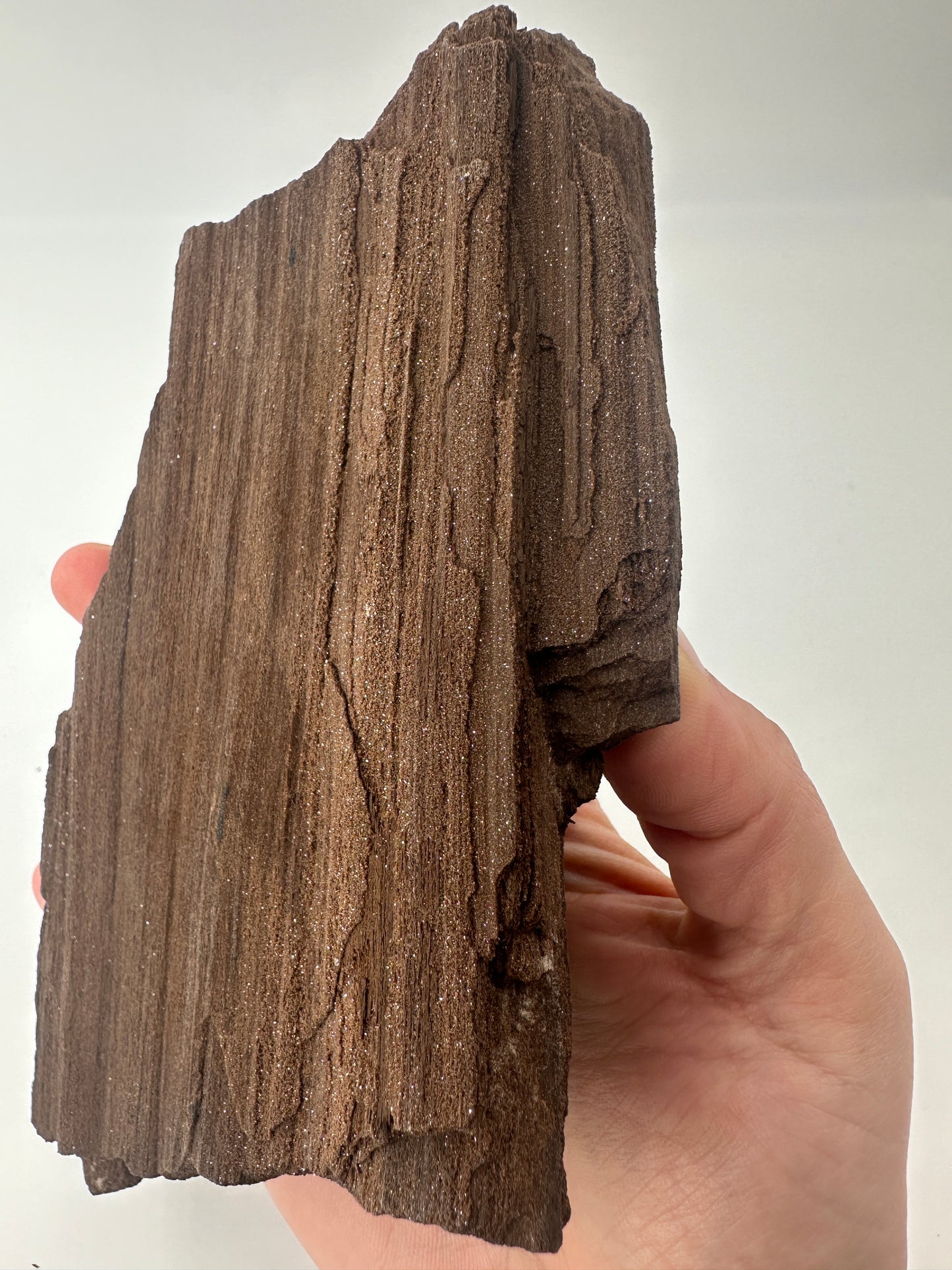 Feenholz FH30 aus Leipzig, versteinertes Holz mit funkelnden Quarzeinschlüssen
