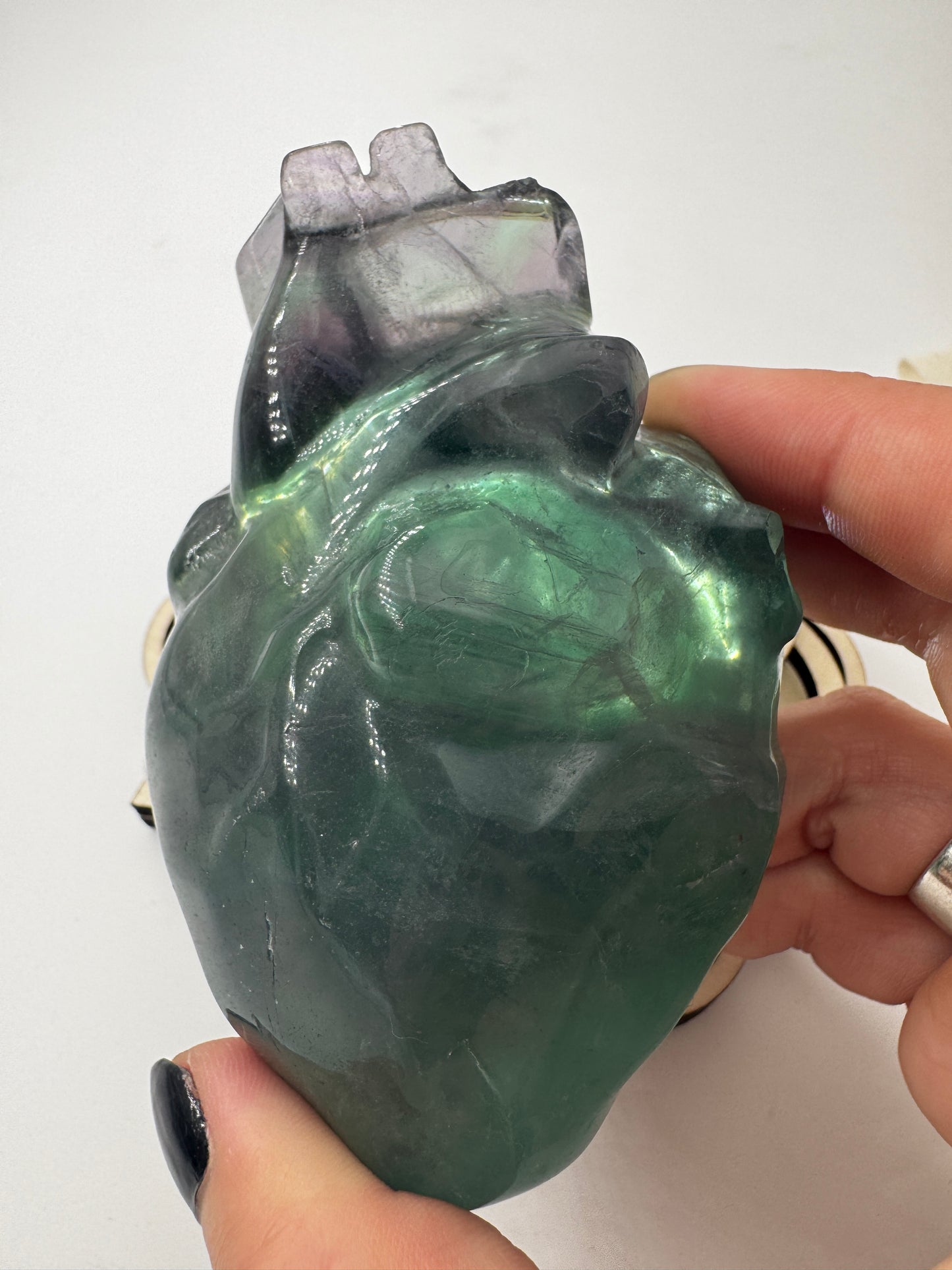Ein anatomisch geformtes Herz aus Fluorit mit charakteristischen violett-grünen Farbbändern und einer hochglanzpolierten Oberfläche.