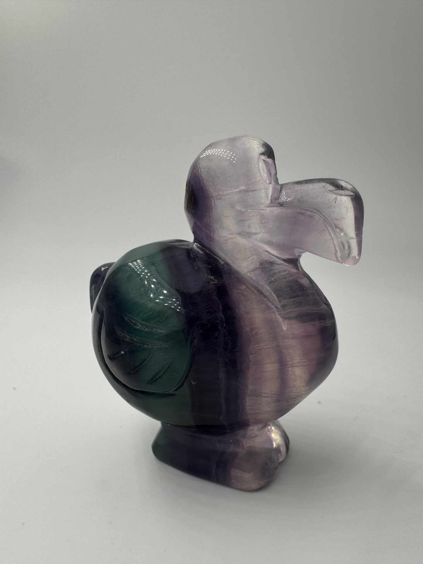 Fluorit Dodo FD22