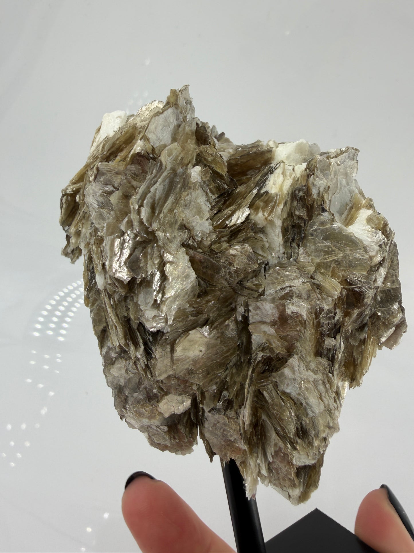 Mica auf Ständer MS22