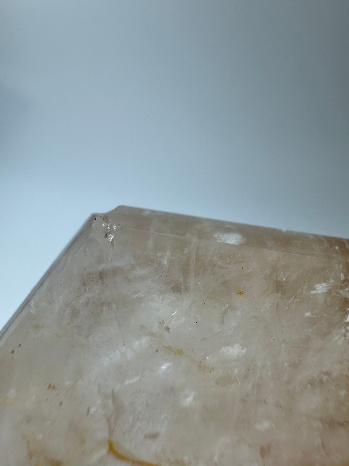 B-Ware Golden Healer Feenstein FA49