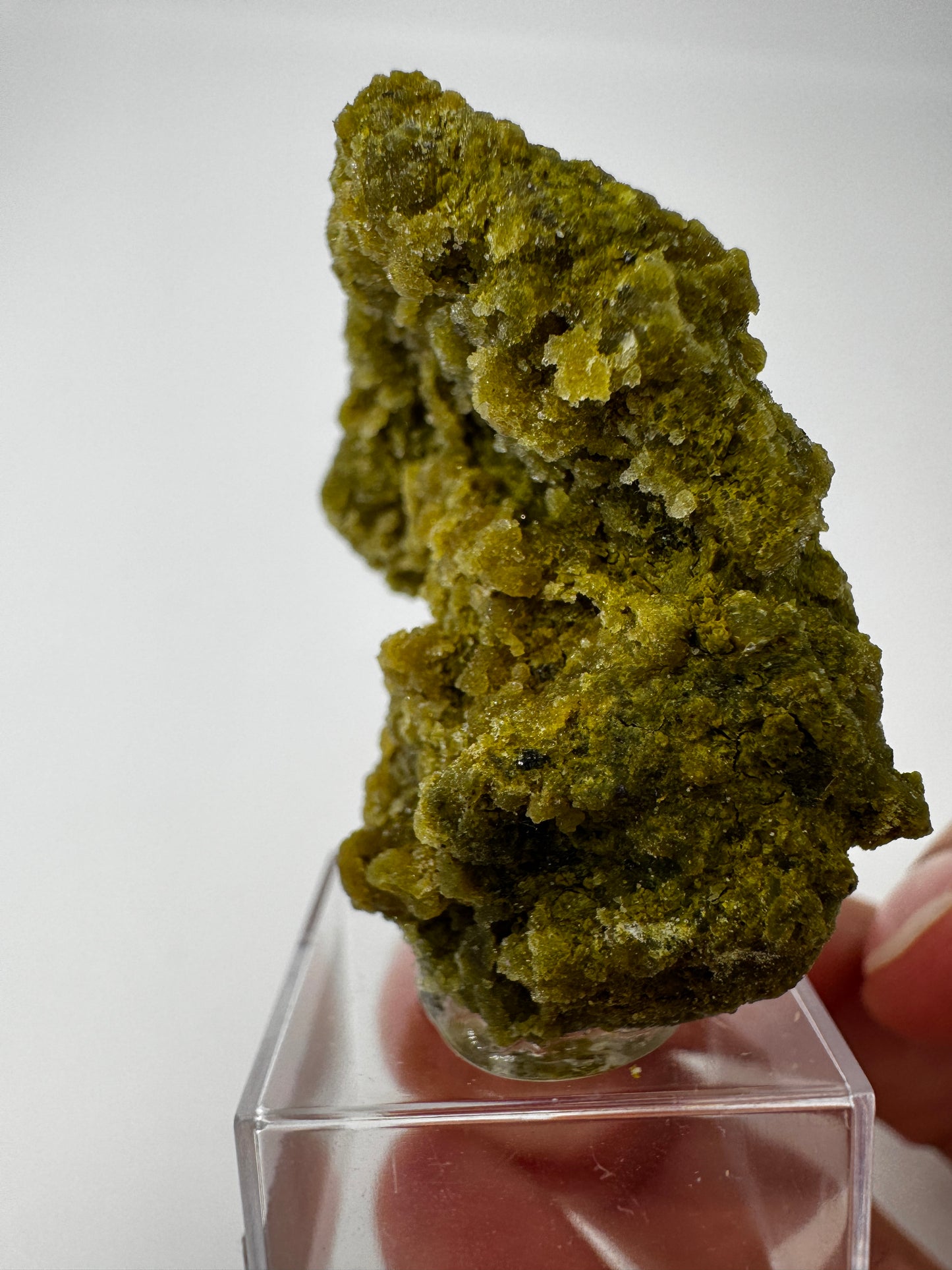 Kiwiopal KO15