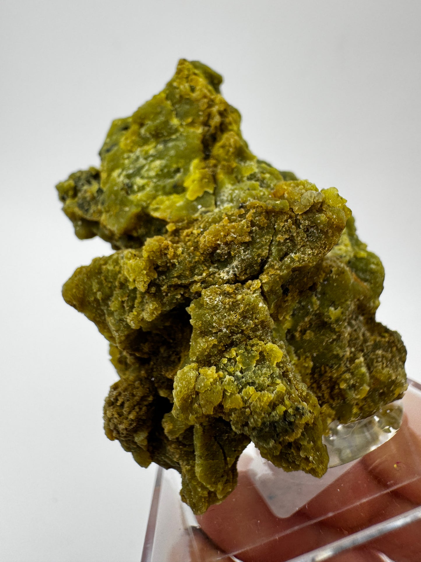 Kiwiopal KO24