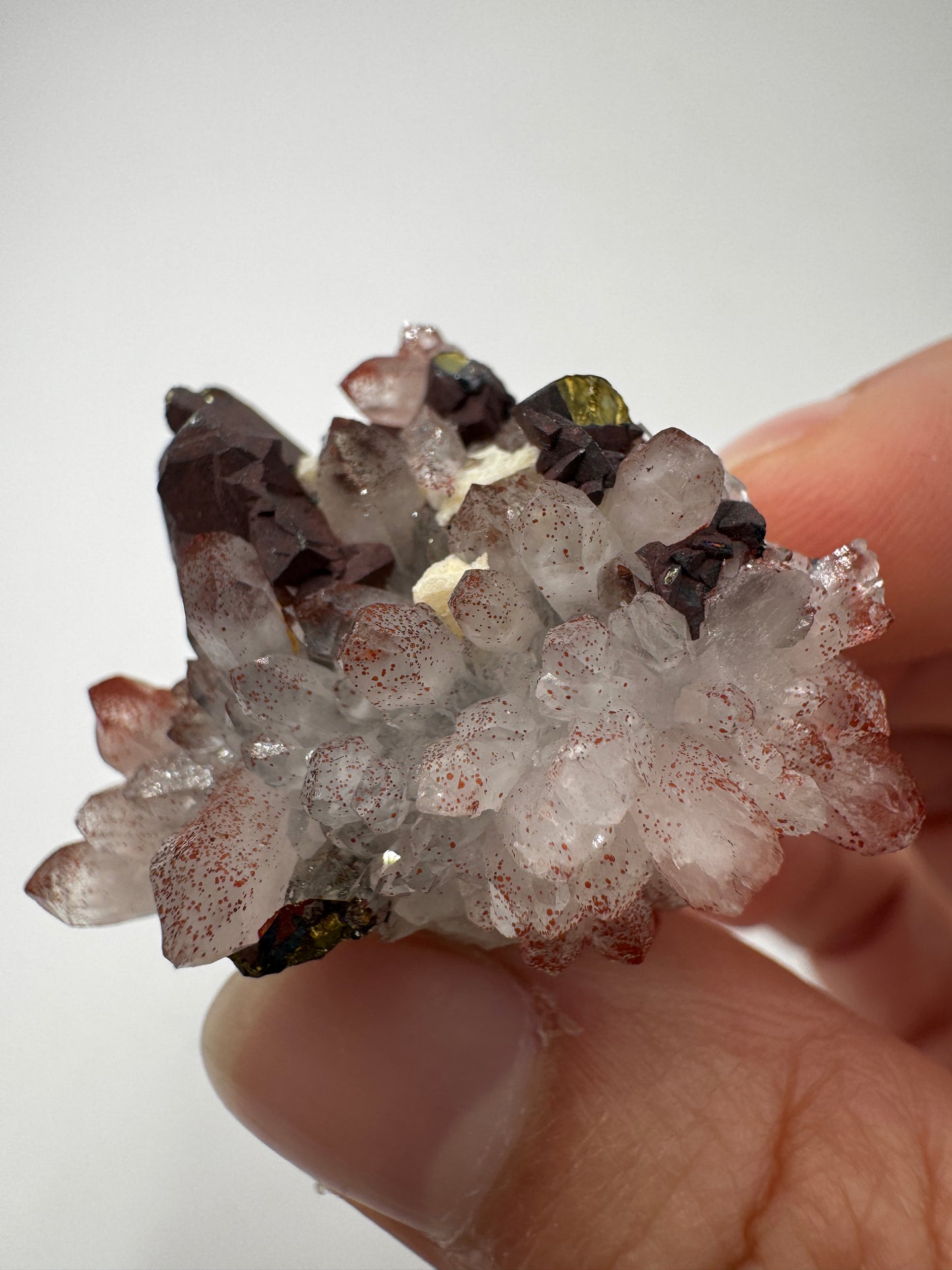 Hämatitquarz mit Pyrit HP22