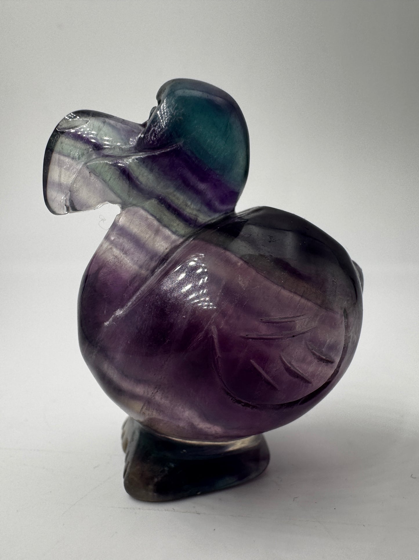 Fluorit Dodo FDF22