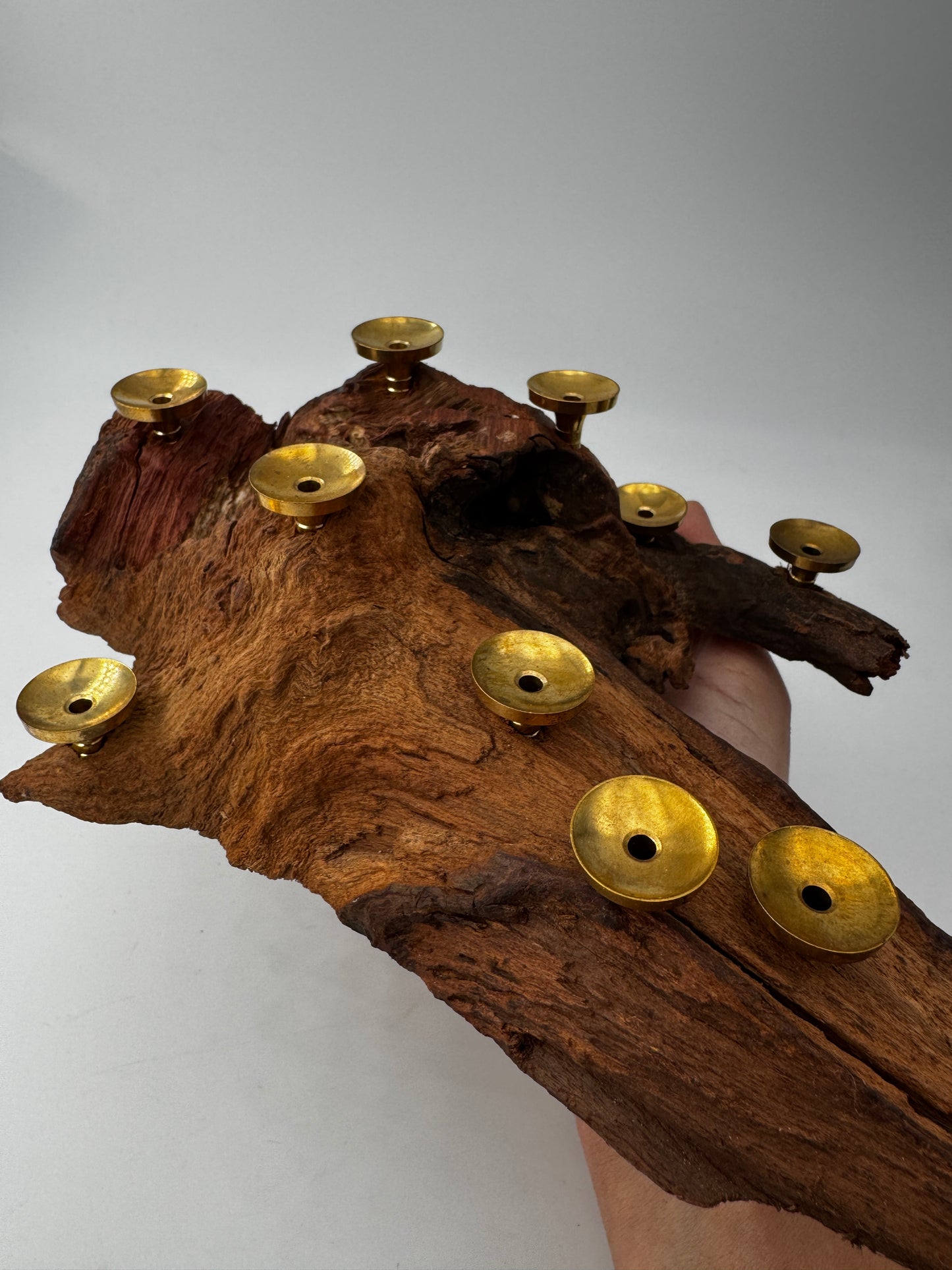 Kugelhalter aus Naturwurzel K95, 21×12 cm, mit Platz für 10 Minikugeln – dekoratives Holzdisplay für Mineraliensammlungen.
