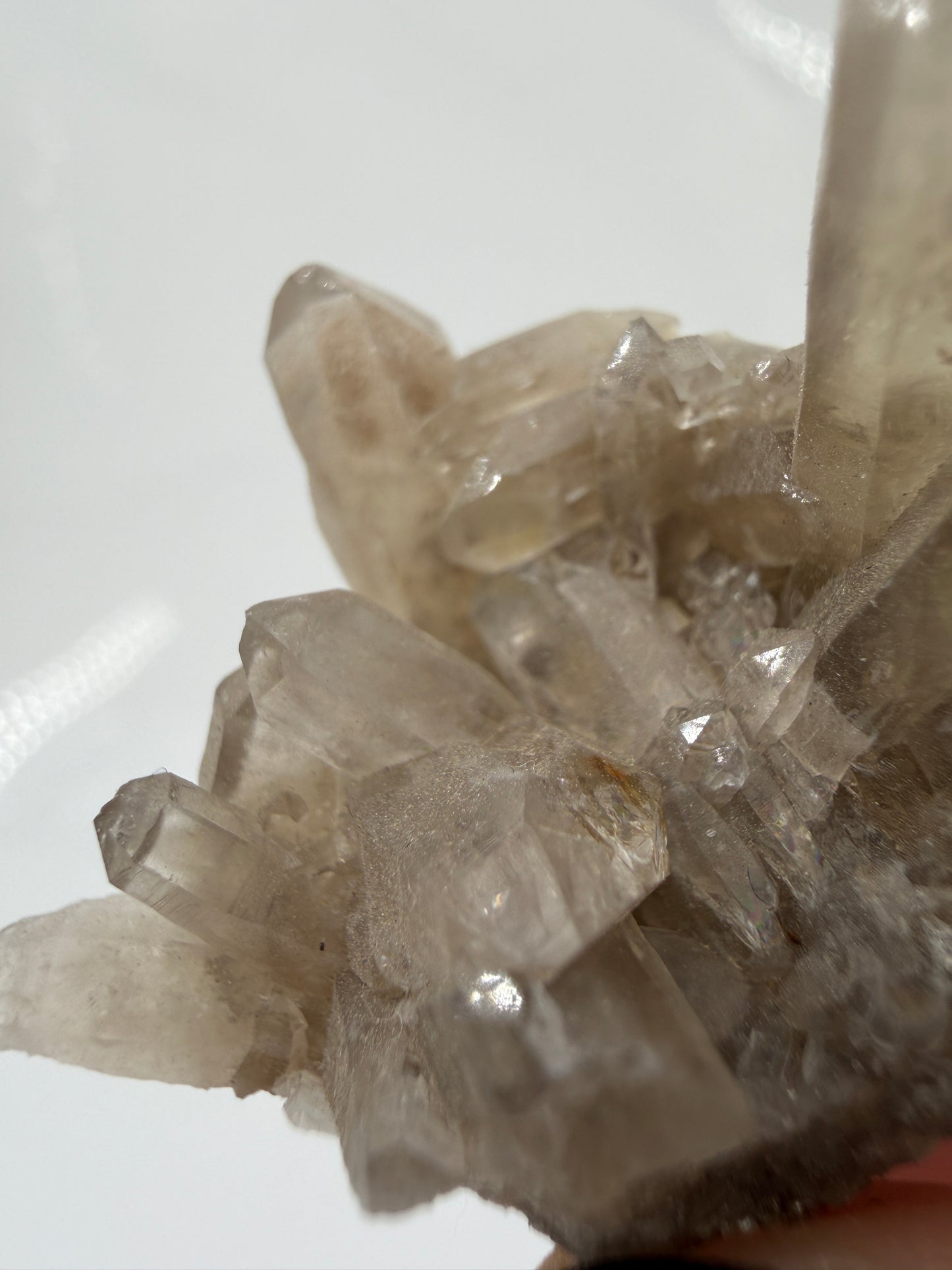 Ein ästhetisches Rauchquarz-Specimen.