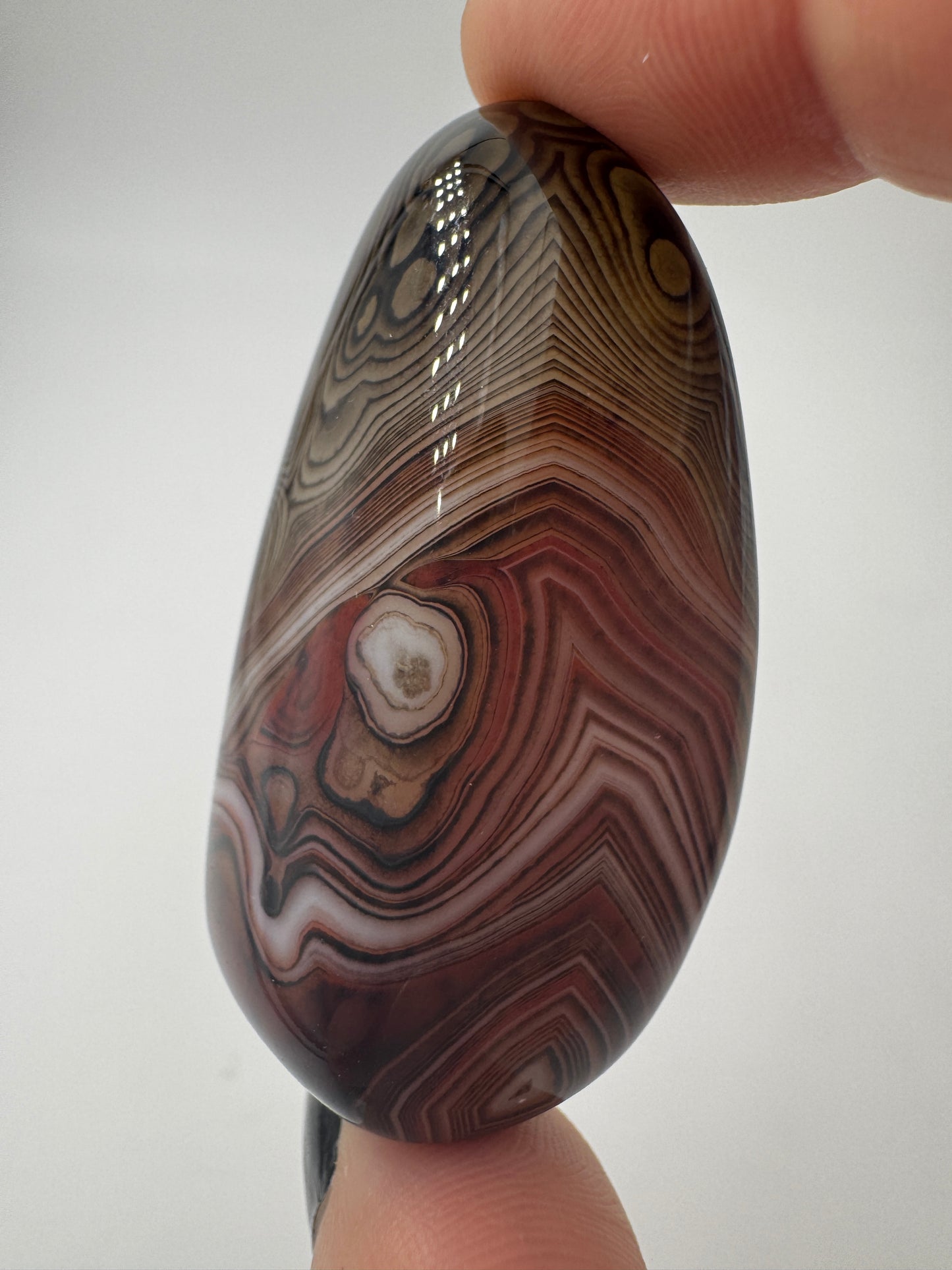 Eine Sardonyx-Freiform präsentiert ihre scharf abgegrenzten, weiß-braunen Farbschichten unter einer glänzenden Oberflächenpolitur.