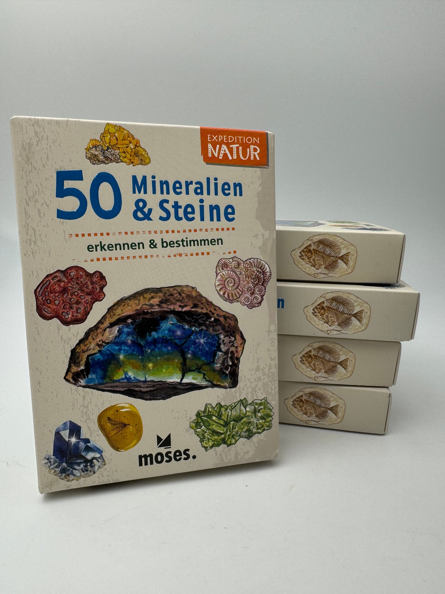 Kartenset 50 Mineralien & Steine – 50 Bestimmungskarten mit Illustrationen und Steckbriefen für Kinder