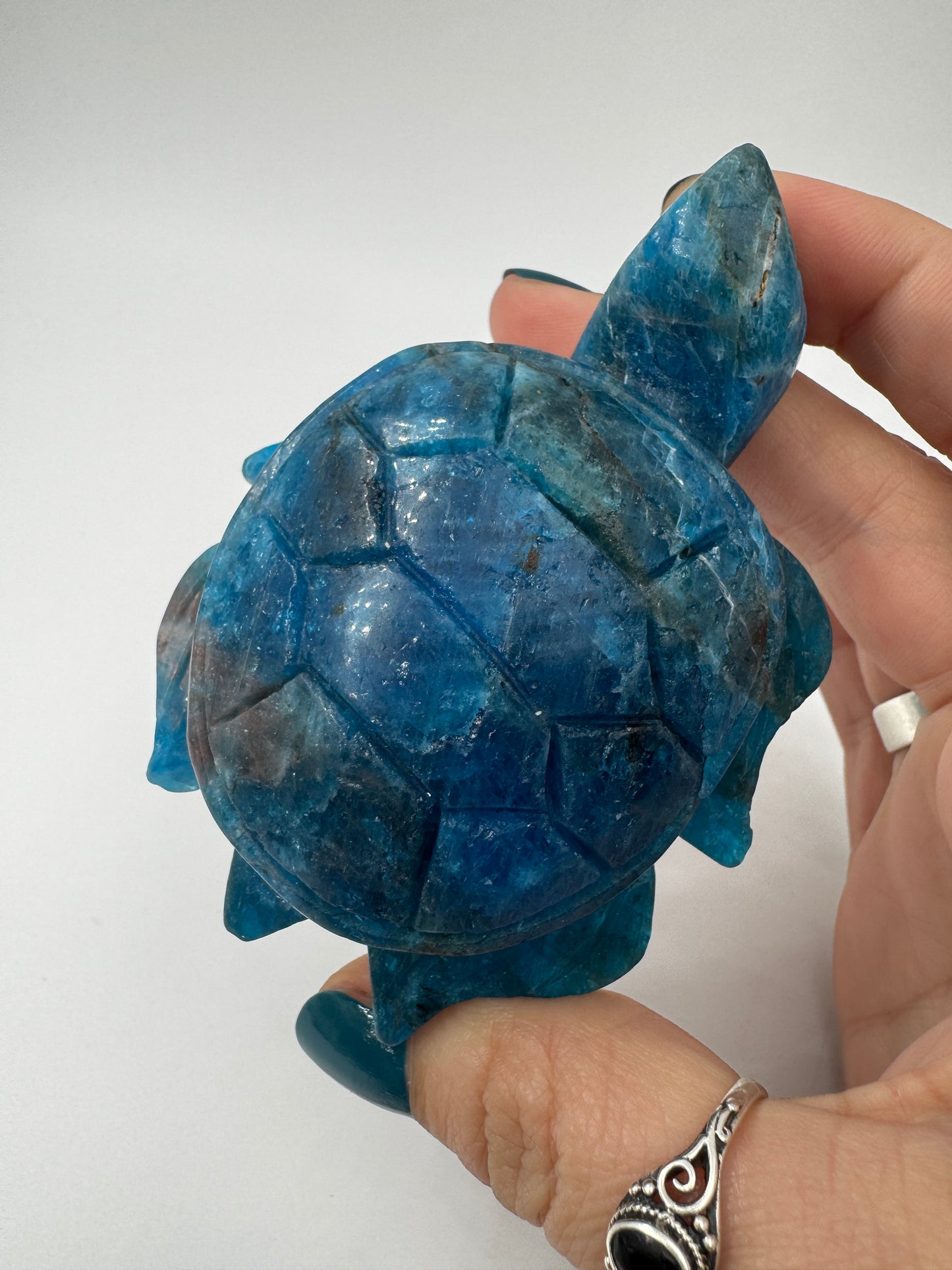 Handgeschliffene Schildkröte aus Apatit A44.