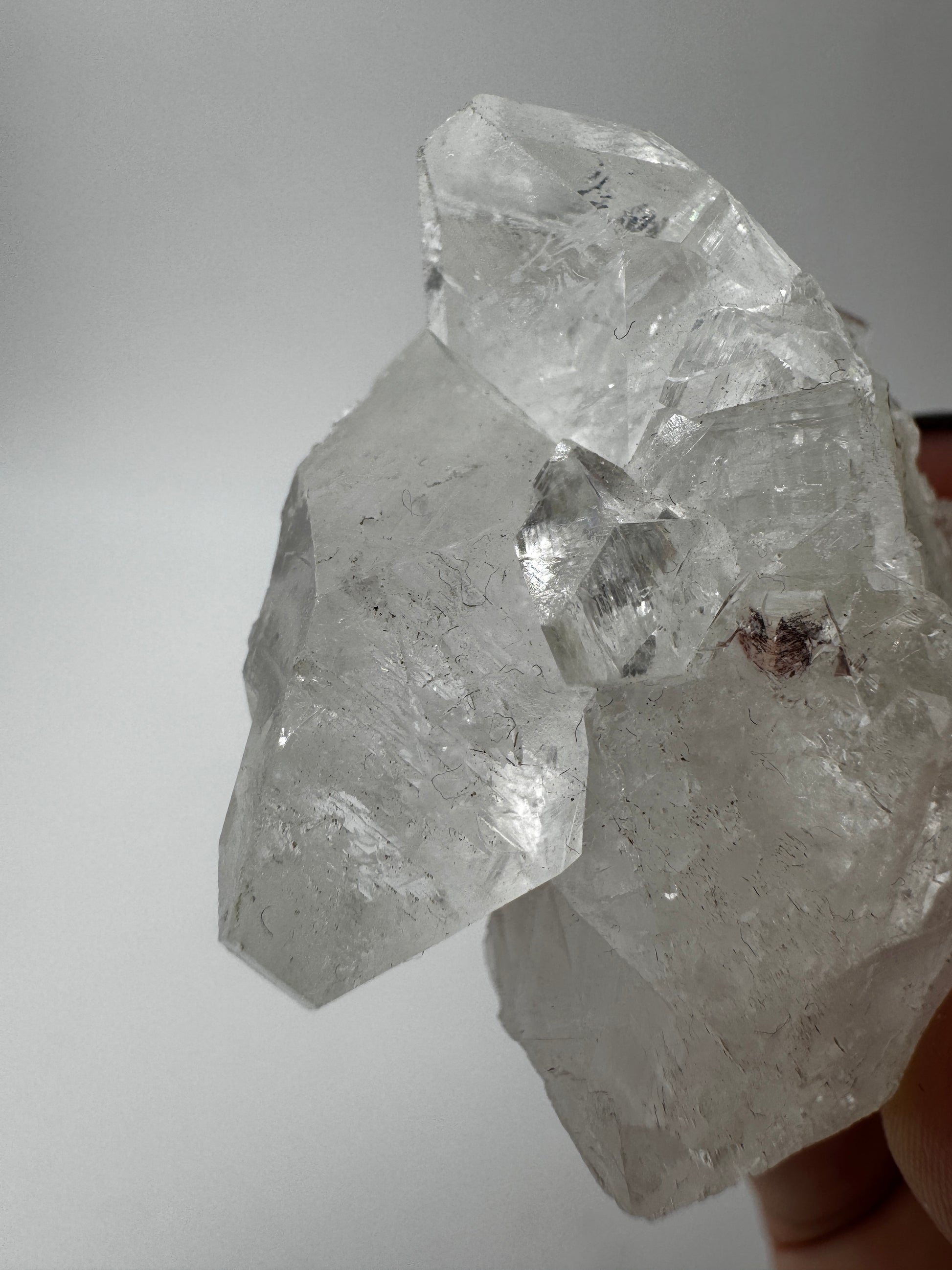 Apophyllit AR14 aus Indien mit glasklaren tetragonalen Prismen und Perlmuttglanz.