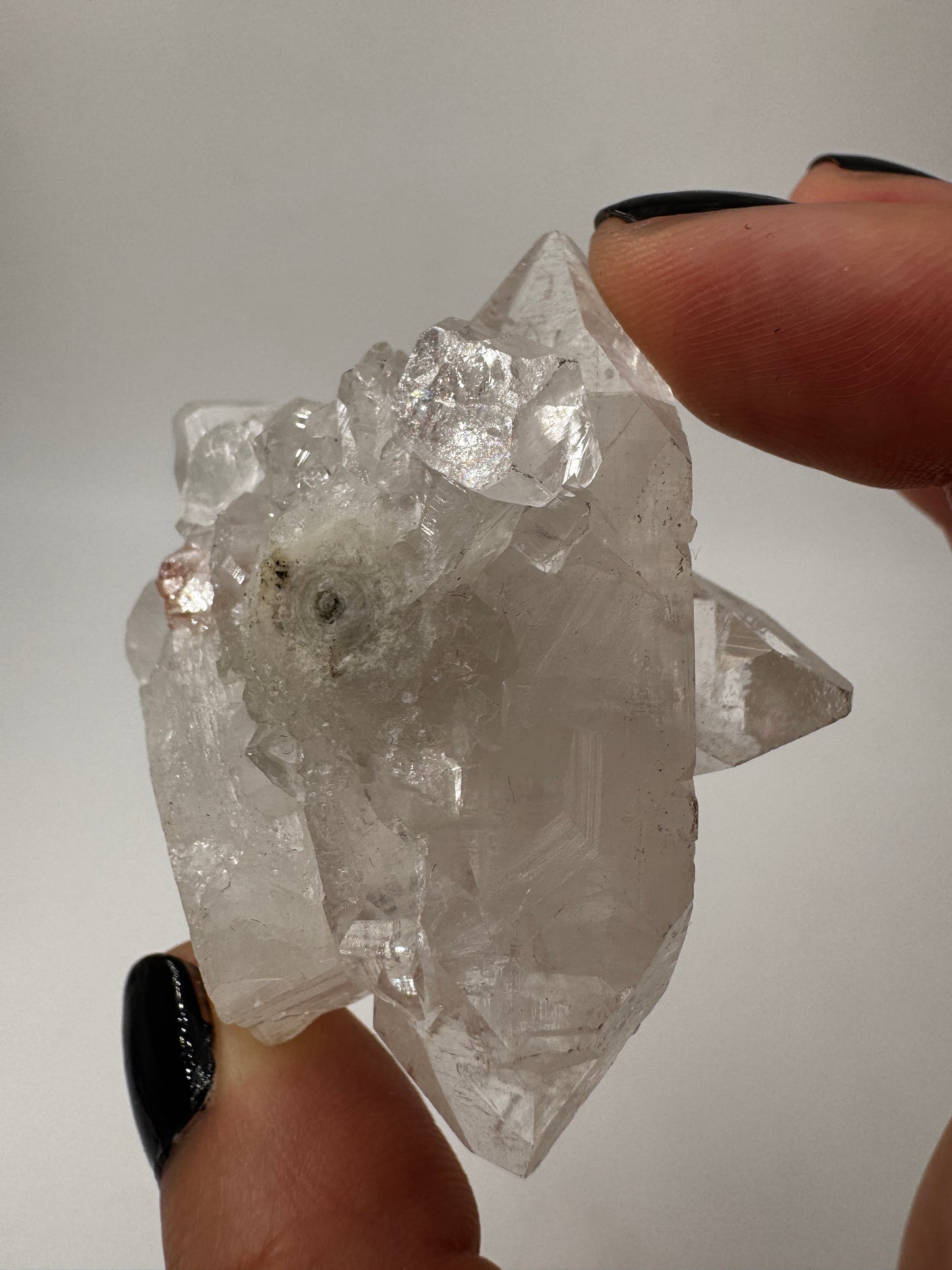 Apophyllit AR14 aus Indien mit glasklaren tetragonalen Prismen und Perlmuttglanz.