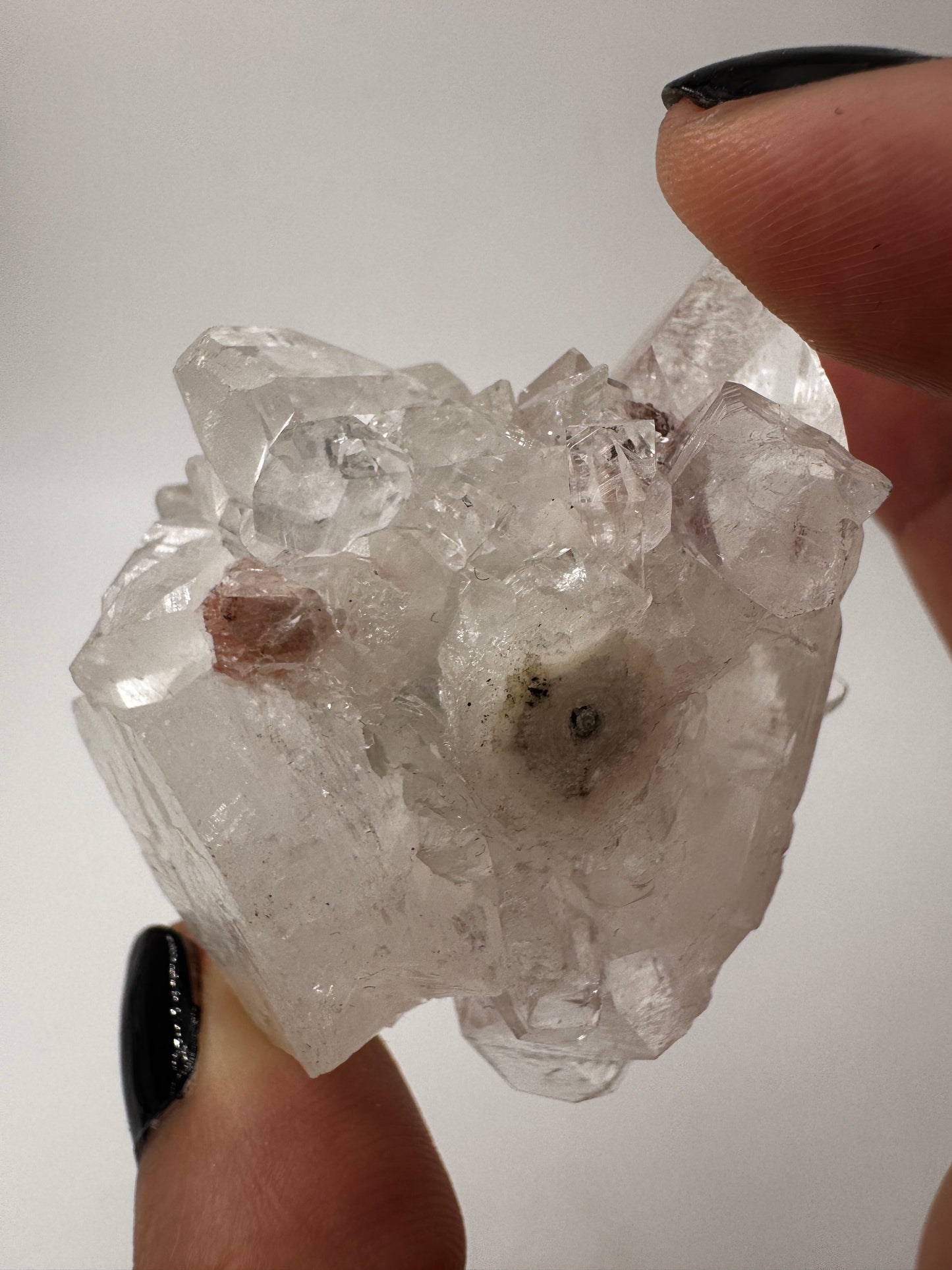 Apophyllit AR14 aus Indien mit glasklaren tetragonalen Prismen und Perlmuttglanz.