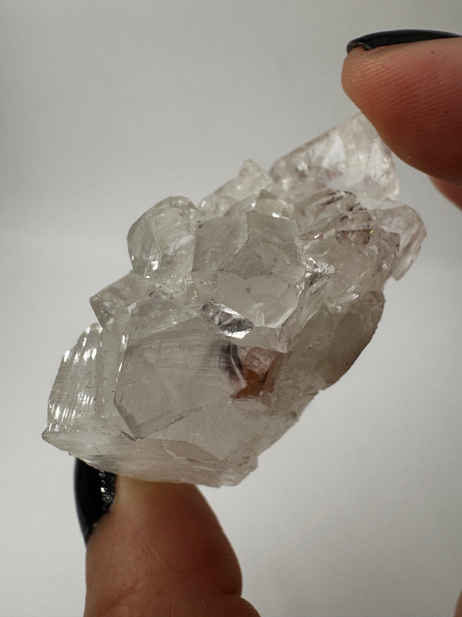 Apophyllit AR14 aus Indien mit glasklaren tetragonalen Prismen und Perlmuttglanz.