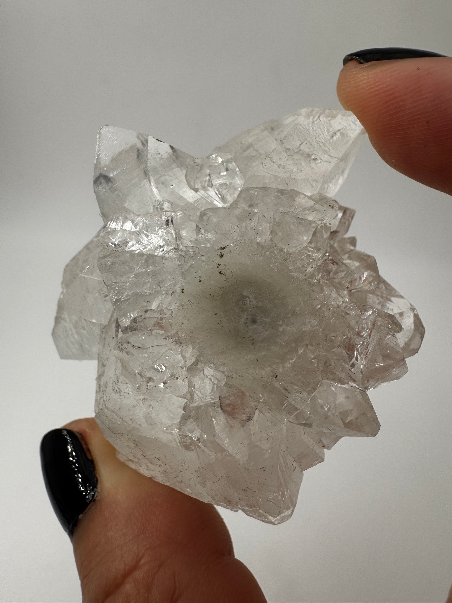Apophyllit AR14 aus Indien mit glasklaren tetragonalen Prismen und Perlmuttglanz.