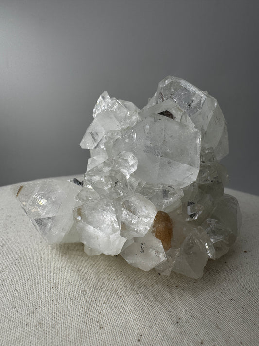 Apophyllit AR66 aus Indien mit glasklaren tetragonalen Prismen und Perlmuttglanz.