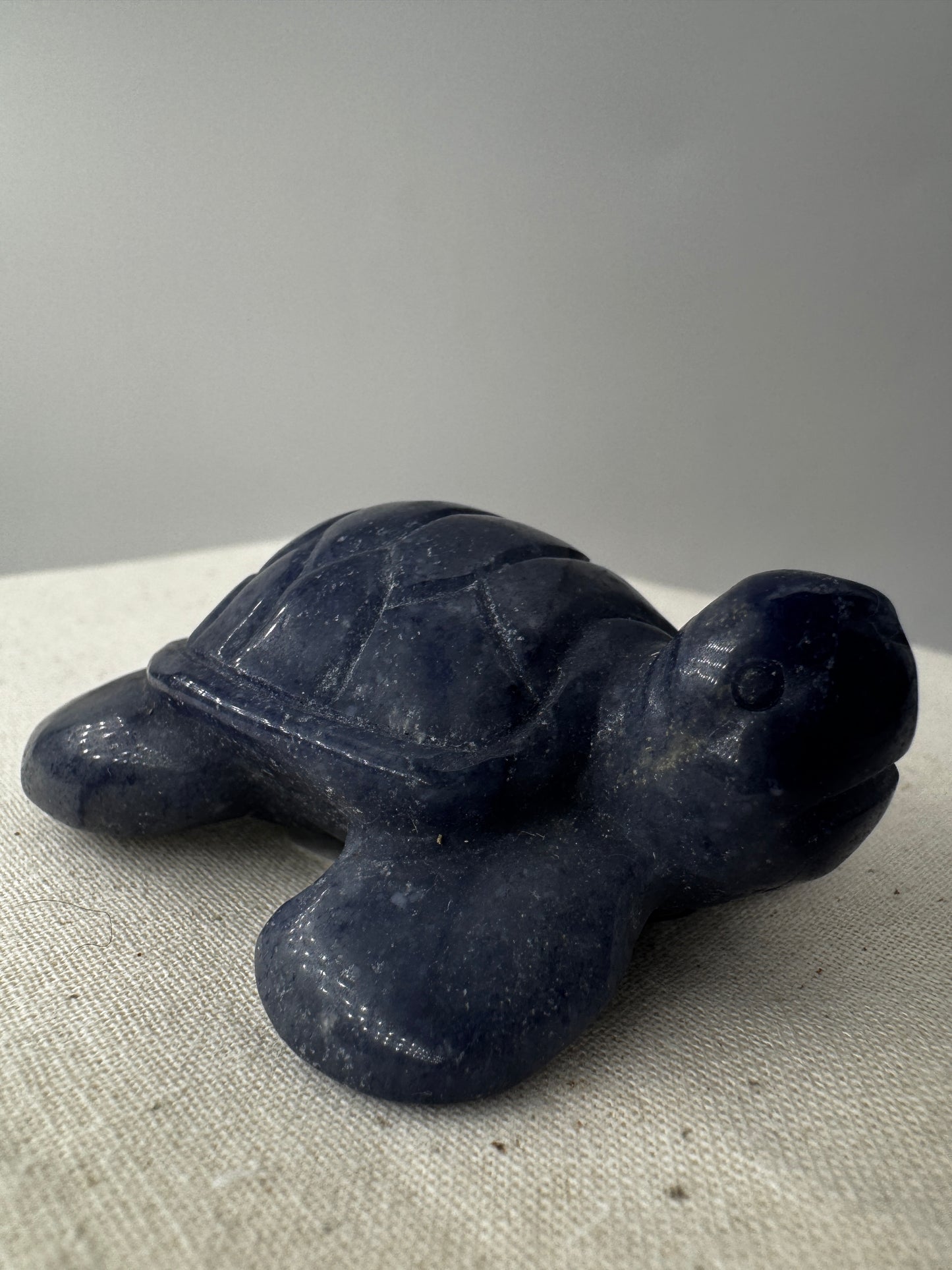 Handgeschliffene Schildkröte aus blauem Aventurin BB19.