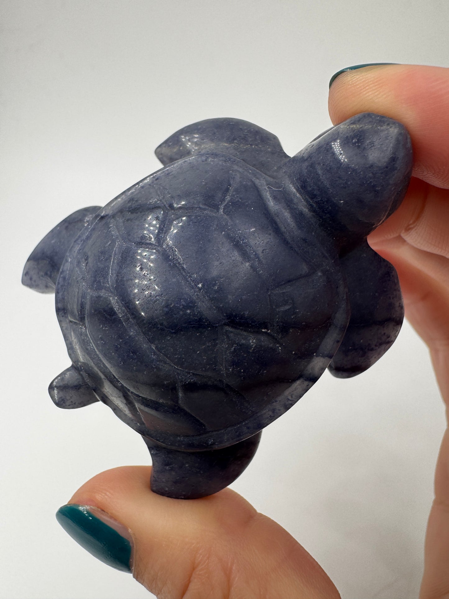 Handgeschliffene Schildkröte aus blauem Aventurin BB19.