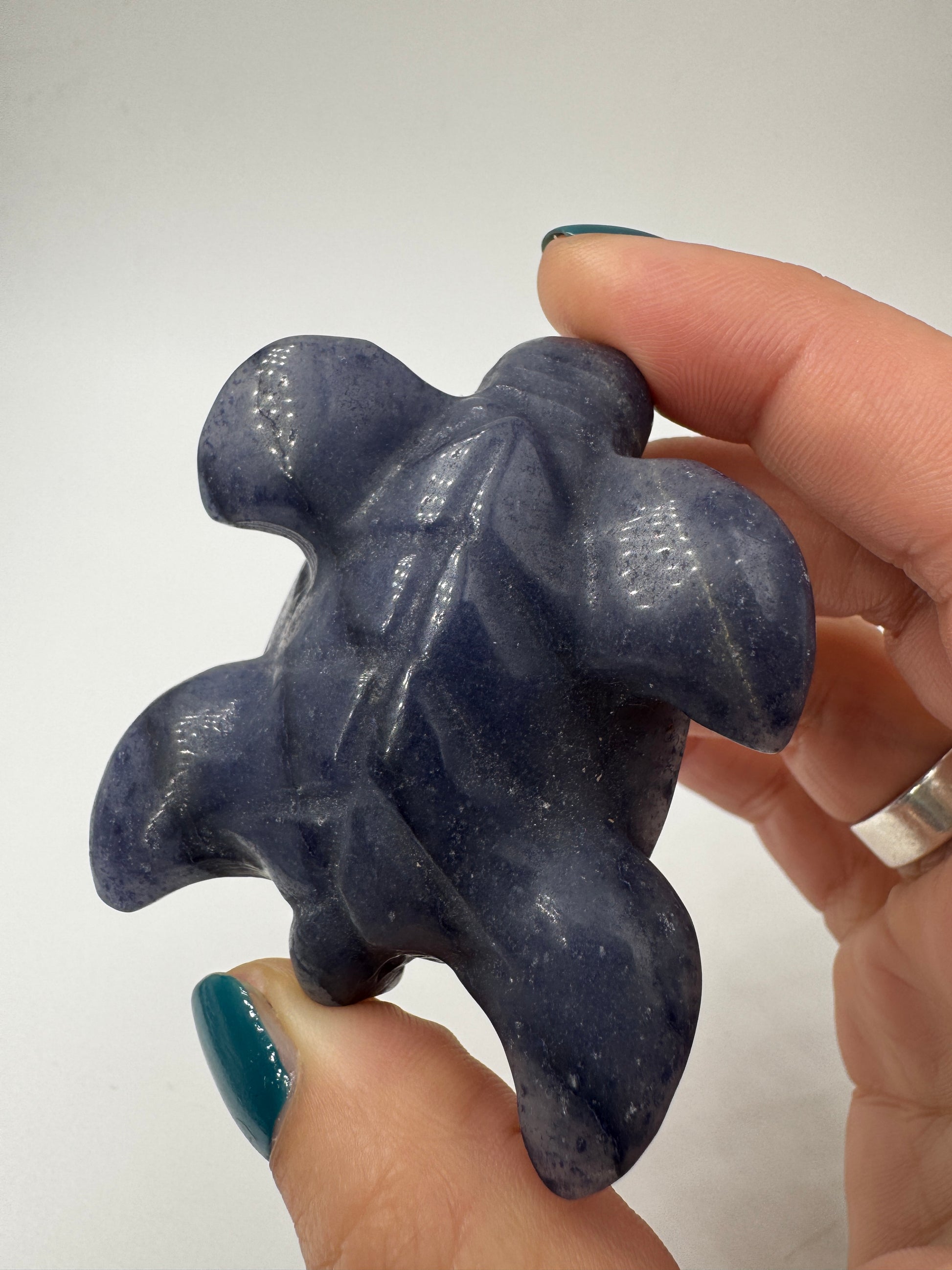 Handgeschliffene Schildkröte aus blauem Aventurin BB19.