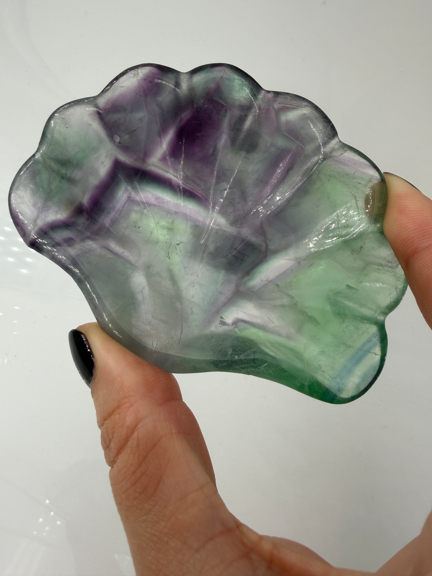 Eine kunstvoll geschnitzte Muschelschale aus transparentem Fluorit, die durch ihre natürlichen, violetten und grünen Farbbänderungen sowie eine seidig glänzende Politur besticht.
