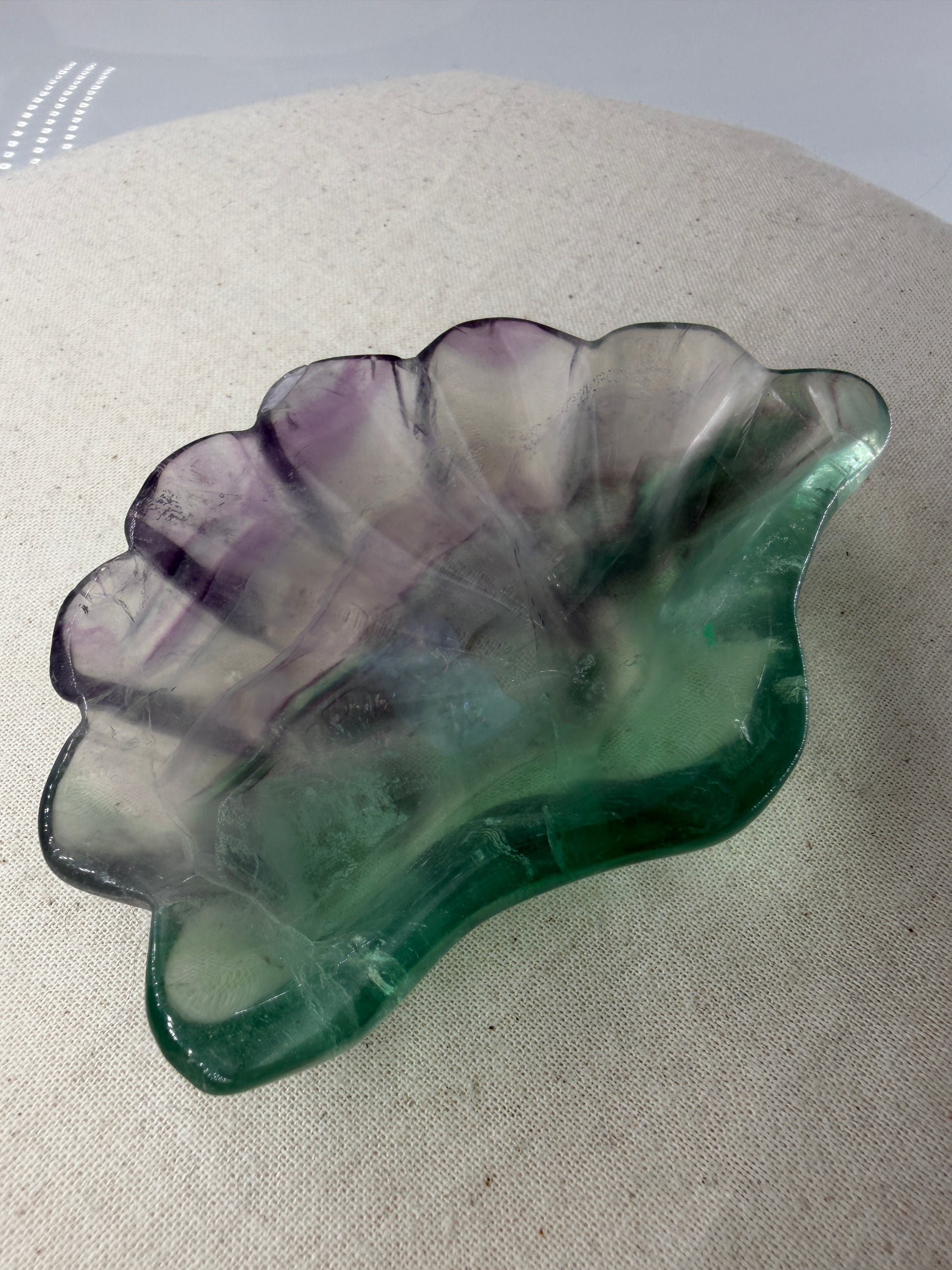 Eine kunstvoll geschnitzte Muschelschale aus transparentem Fluorit, die durch ihre natürlichen, violetten und grünen Farbbänderungen sowie eine seidig glänzende Politur besticht.