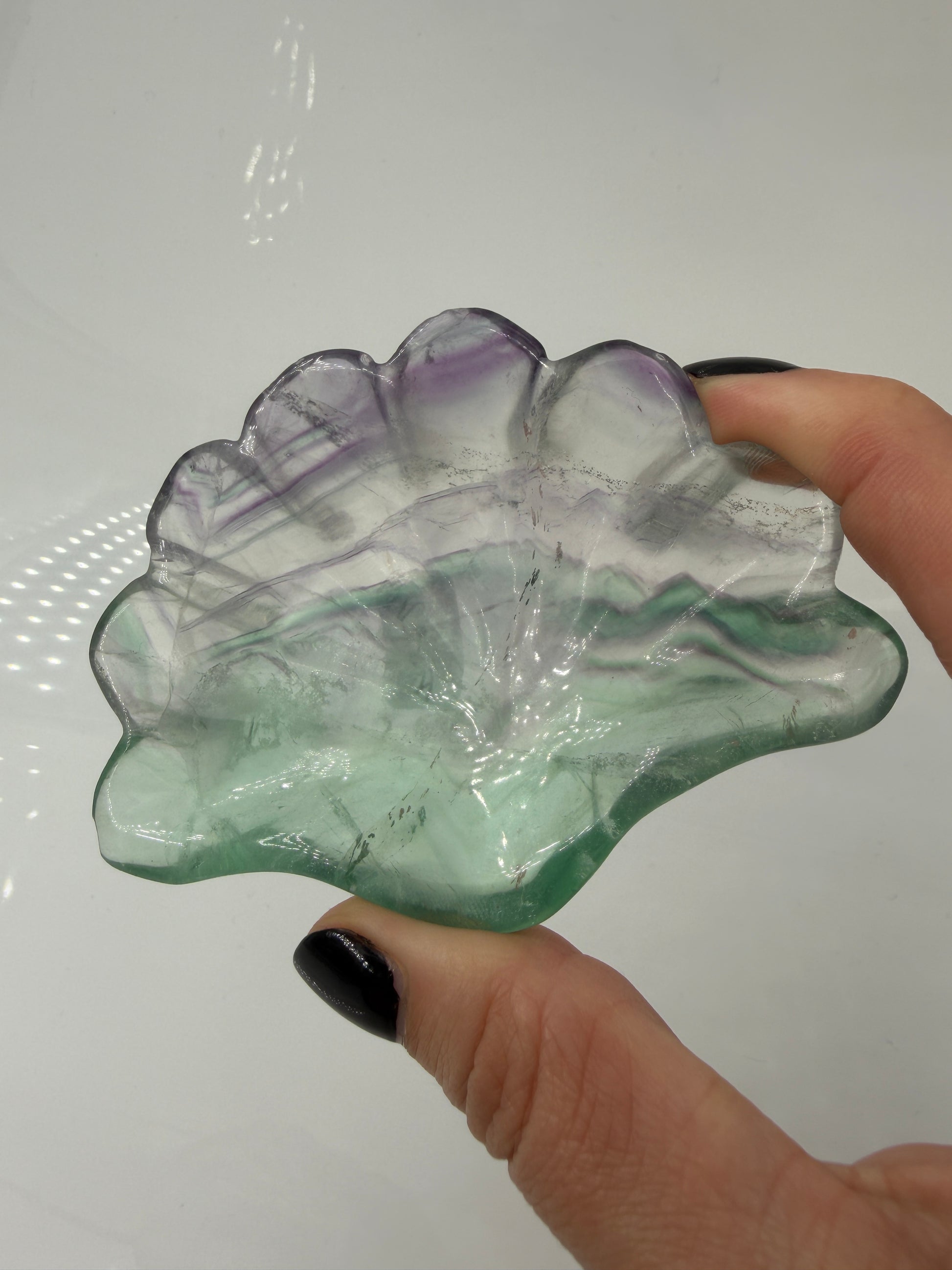 Eine kunstvoll geschnitzte Muschelschale aus transparentem Fluorit, die durch ihre natürlichen, violetten und grünen Farbbänderungen sowie eine seidig glänzende Politur besticht.