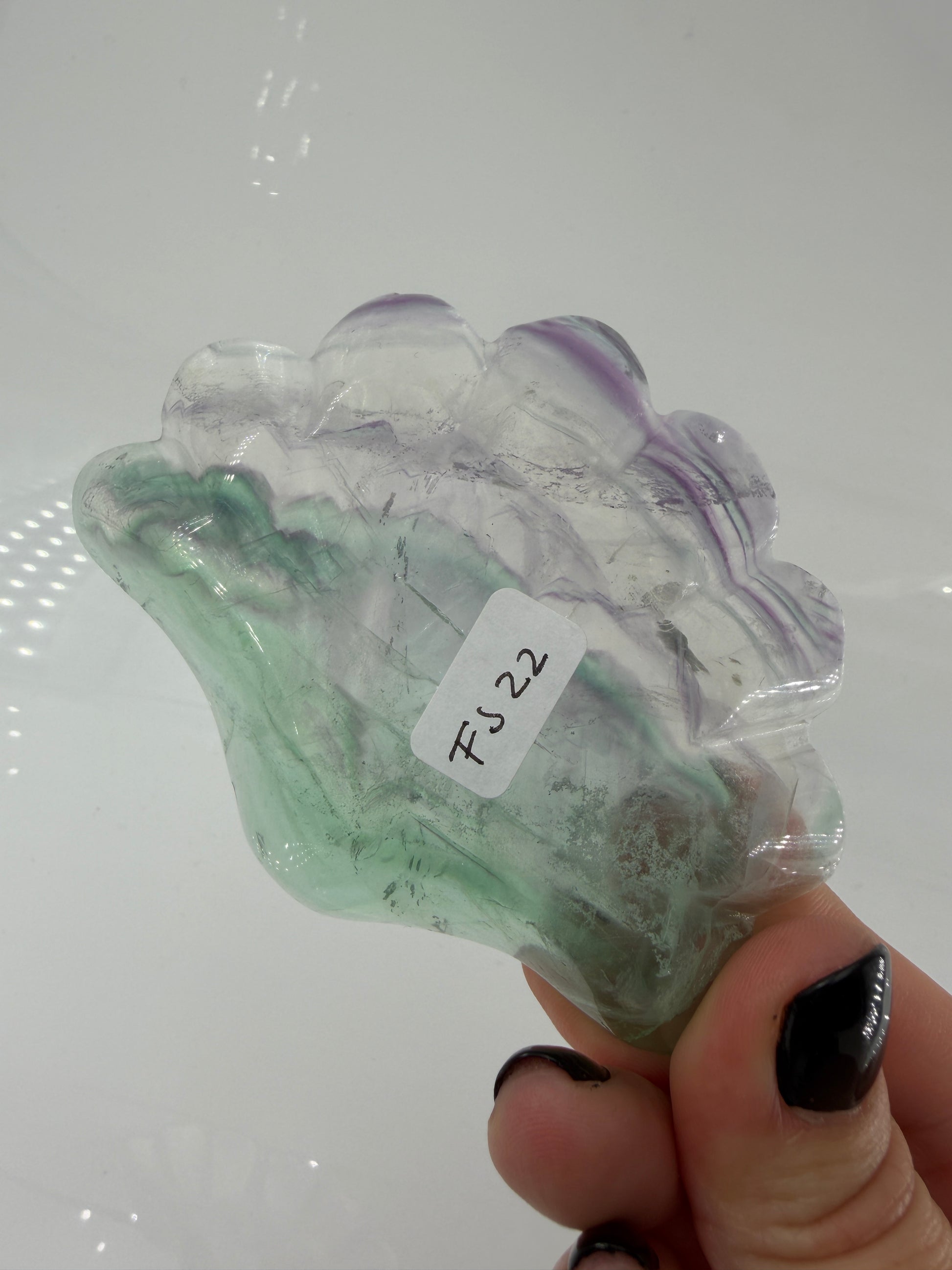 Eine kunstvoll geschnitzte Muschelschale aus transparentem Fluorit, die durch ihre natürlichen, violetten und grünen Farbbänderungen sowie eine seidig glänzende Politur besticht.