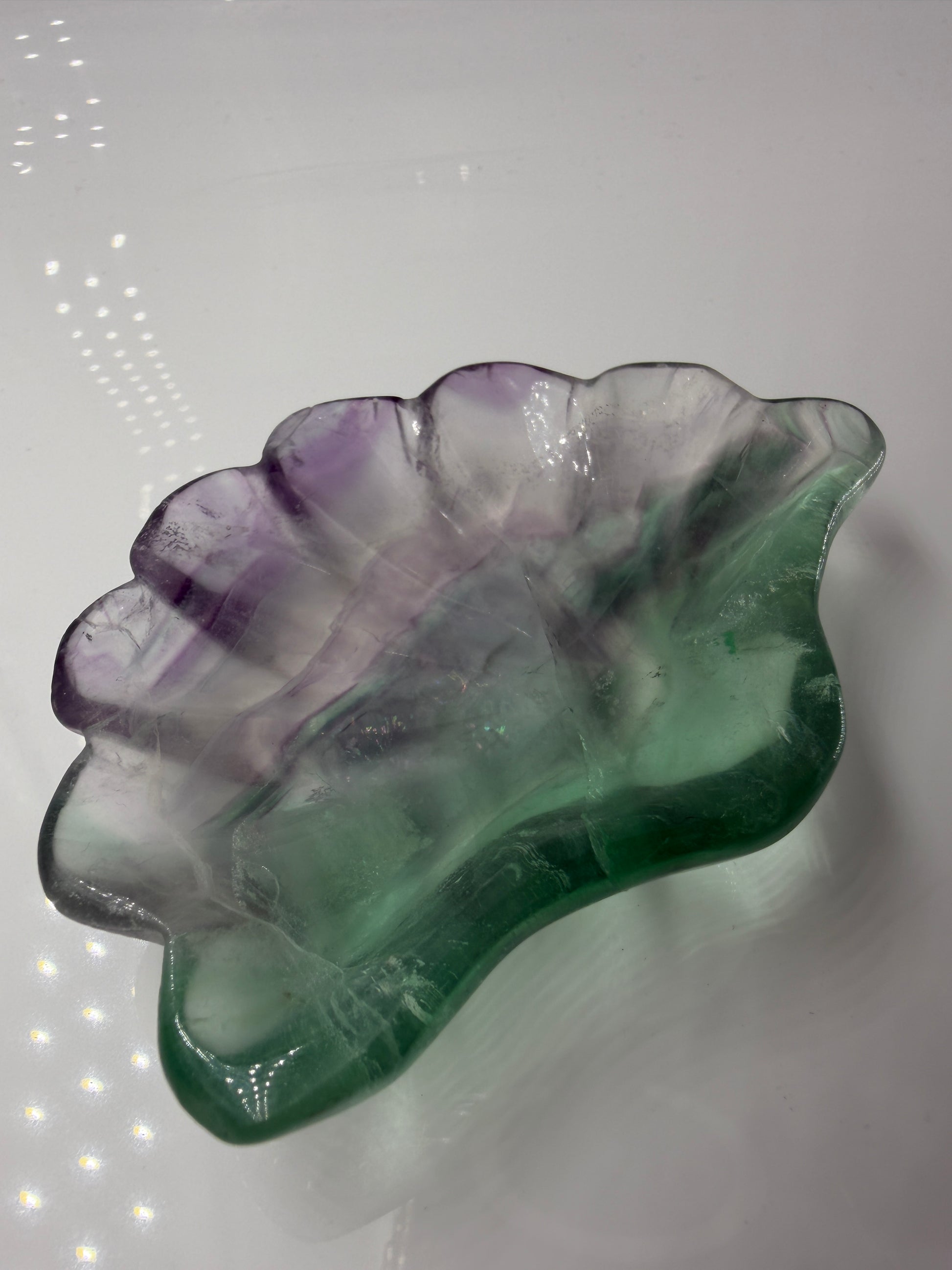 Eine kunstvoll geschnitzte Muschelschale aus transparentem Fluorit, die durch ihre natürlichen, violetten und grünen Farbbänderungen sowie eine seidig glänzende Politur besticht.