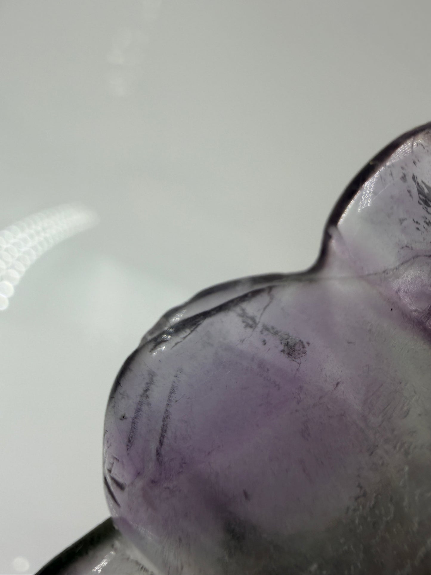 Nahaufnahme. Eine kunstvoll geschnitzte Muschelschale aus transparentem Fluorit, die durch ihre natürlichen, violetten und grünen Farbbänderungen sowie eine seidig glänzende Politur besticht.
