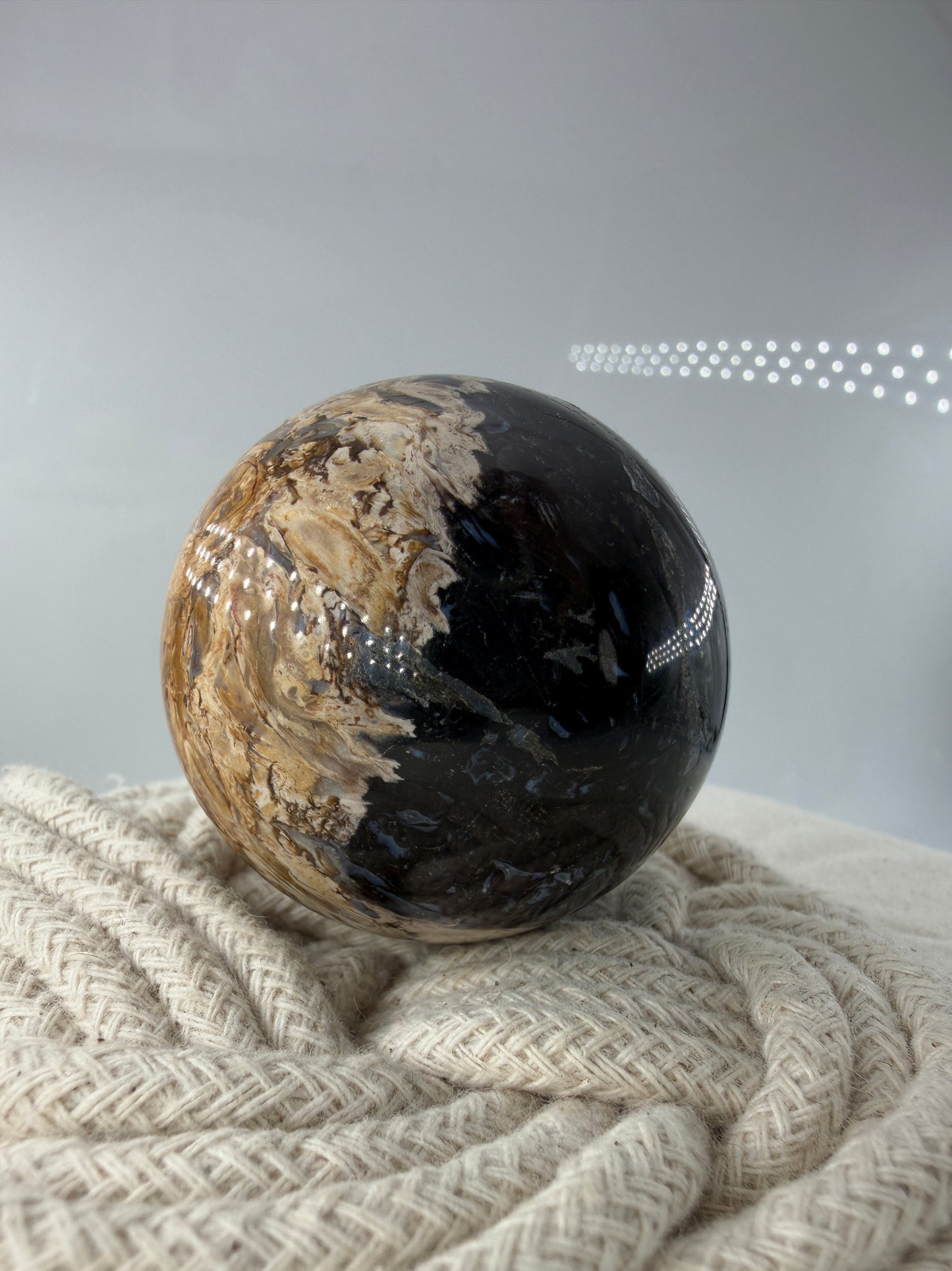 Eine  Kugel aus versteinerter Palmenwurzel mit charakteristischem Strukturmuster in wärmenden Erd- und Beigetönen.