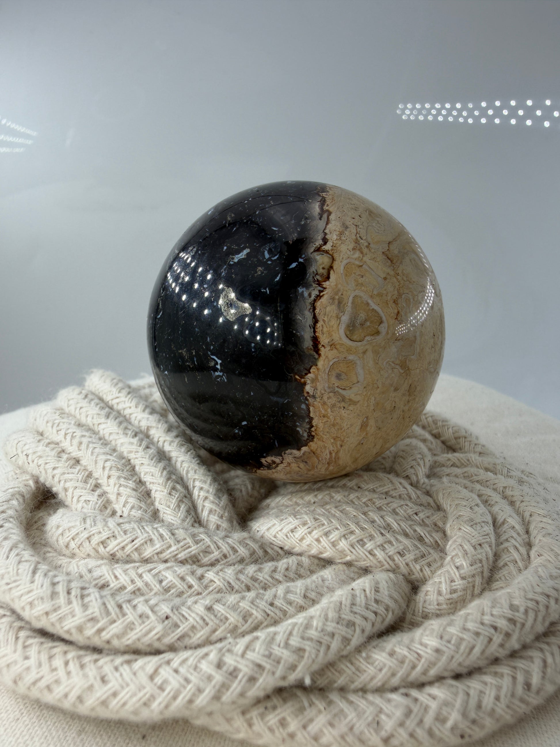 Eine Kugel aus versteinerter Palmenwurzel mit charakteristischem Strukturmuster in wärmenden Erd- und Beigetönen.