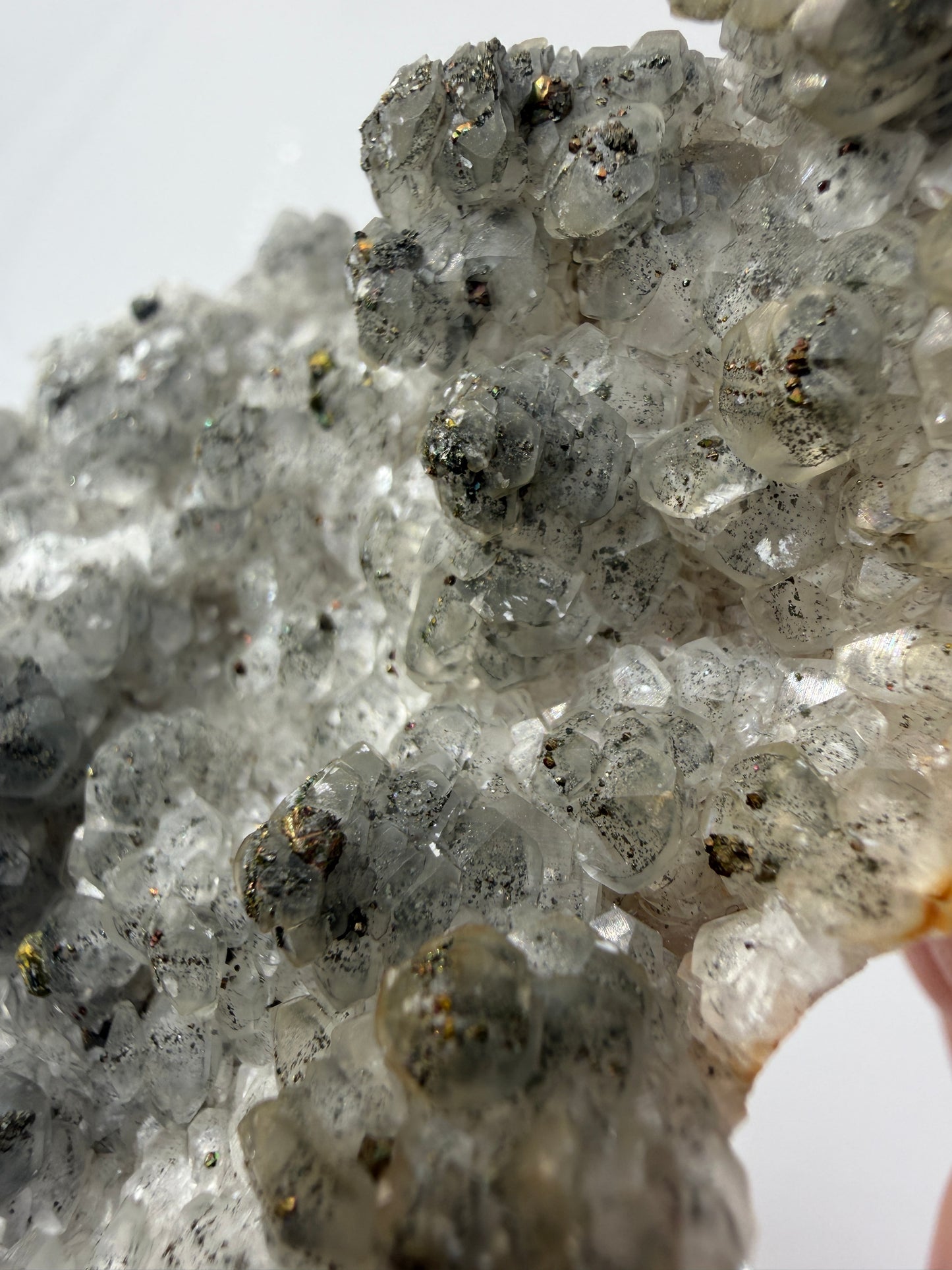 Weißer Calcit mit goldglänzenden Pyrit-Kristallen auf Gesteinsmatrix aus Herdringen, Sauerland.