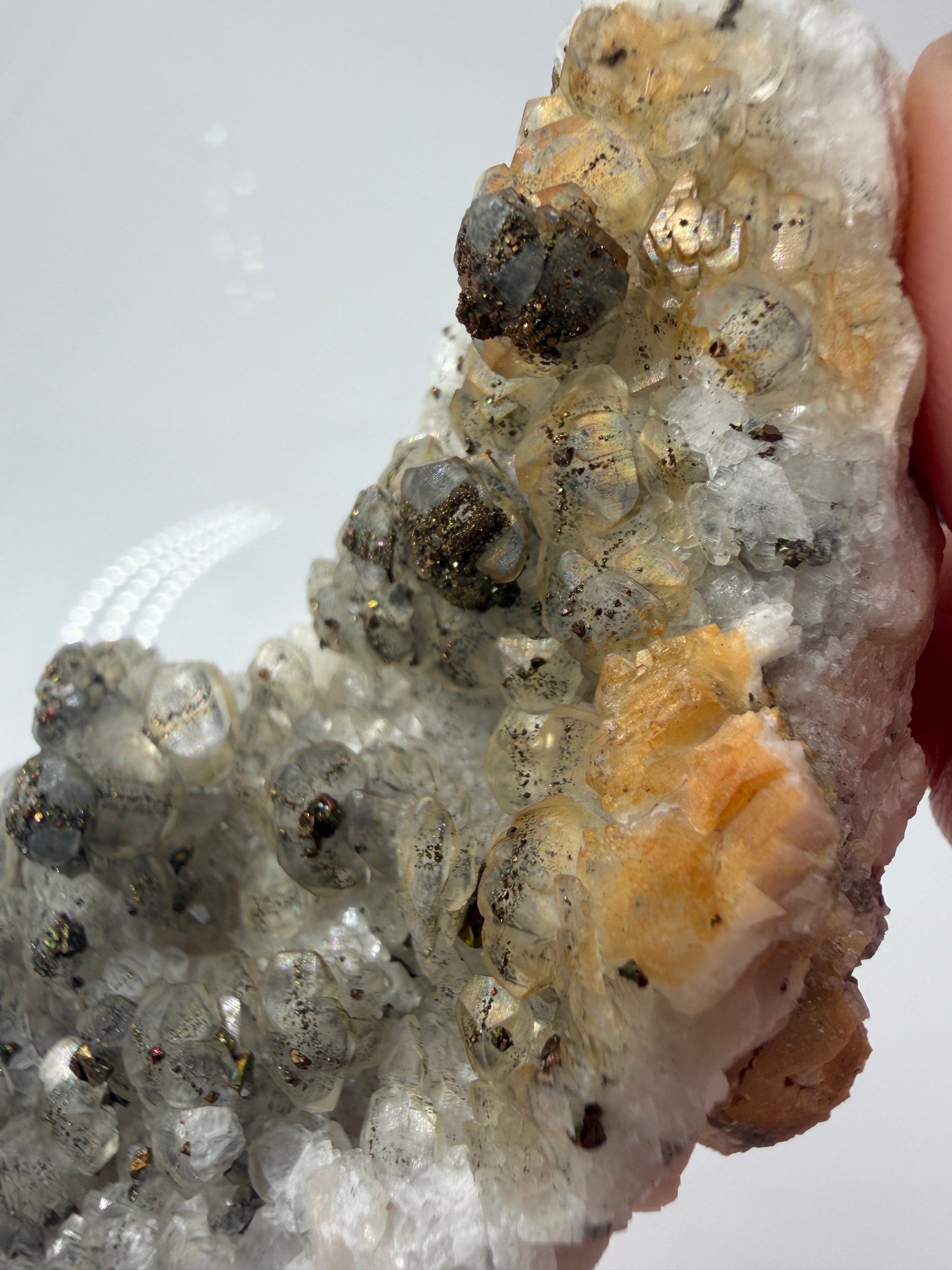 Weißer Calcit mit goldglänzenden Pyrit-Kristallen auf Gesteinsmatrix aus Herdringen, Sauerland.