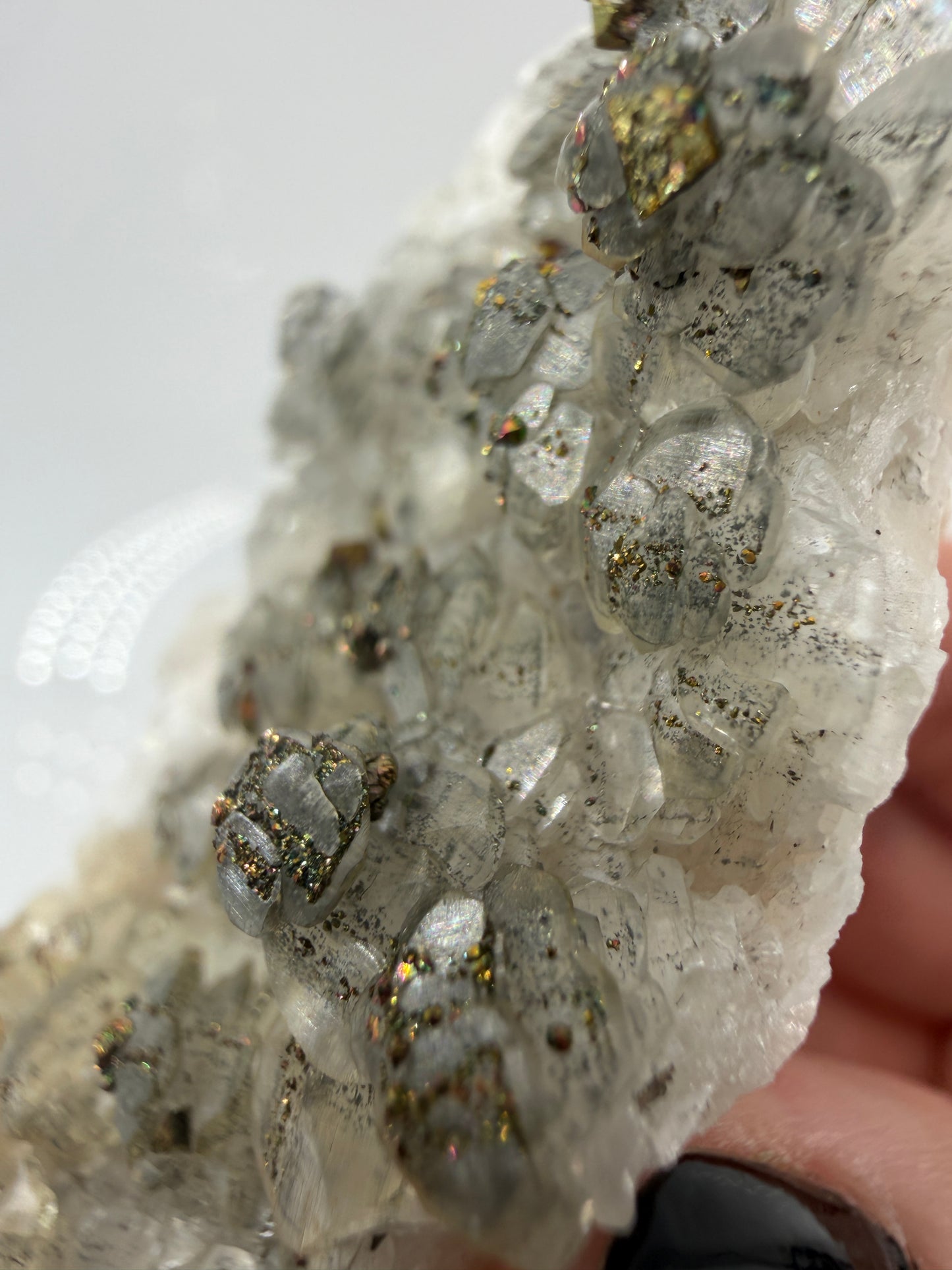Weißer Calcit mit goldglänzenden Pyrit-Kristallen auf Gesteinsmatrix aus Herdringen, Sauerland.