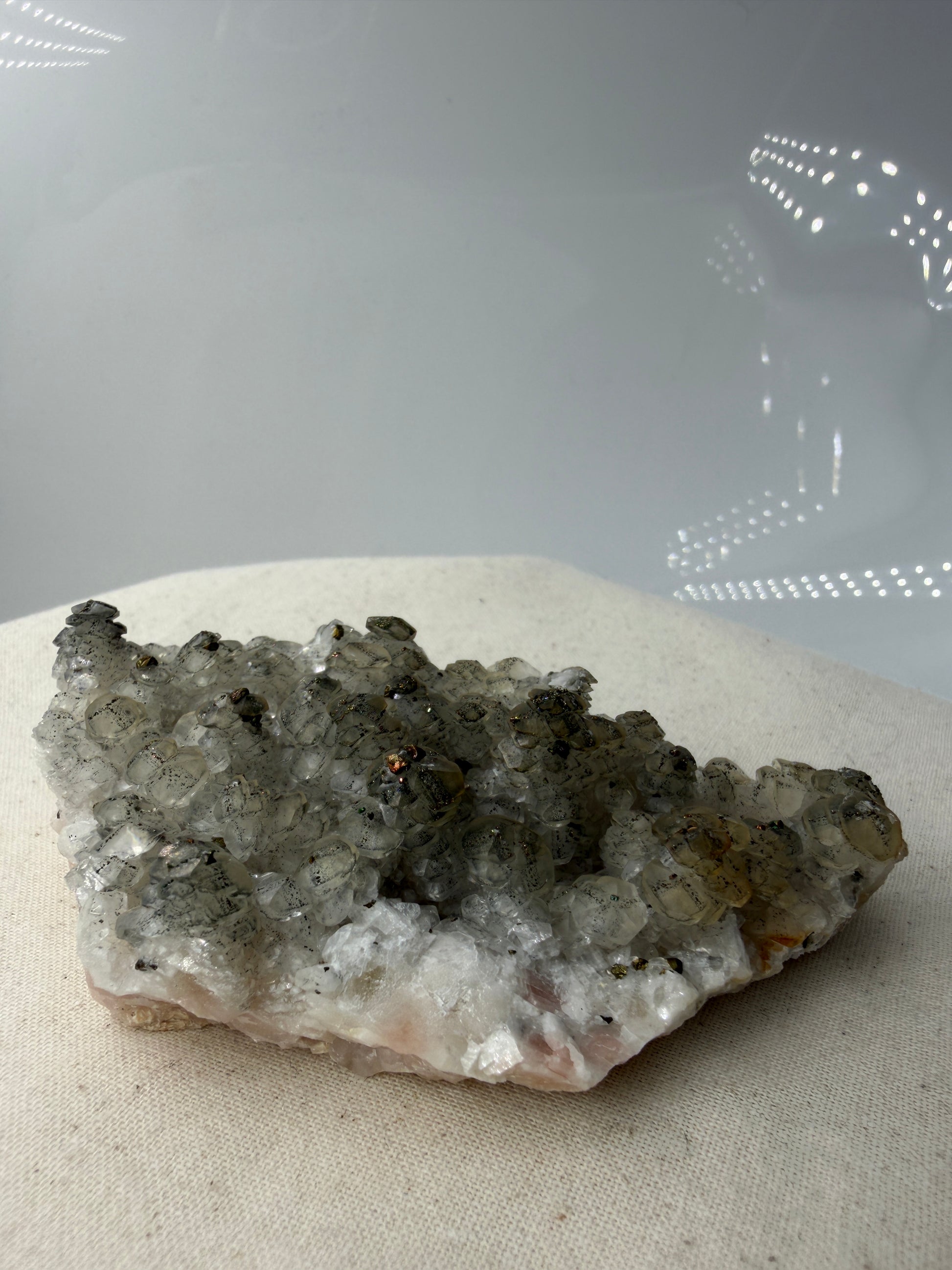 Weißer Calcit mit goldglänzenden Pyrit-Kristallen auf Gesteinsmatrix aus Herdringen, Sauerland.
