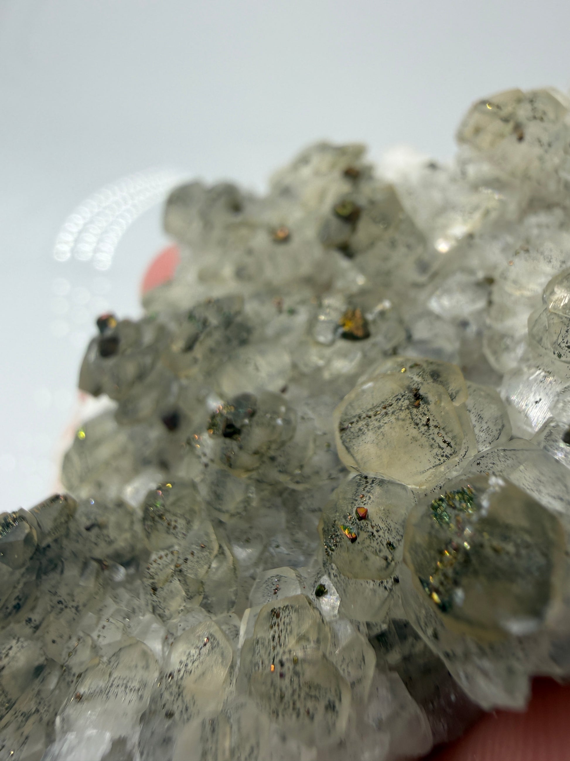 Weißer Calcit mit goldglänzenden Pyrit-Kristallen auf Gesteinsmatrix aus Herdringen, Sauerland.