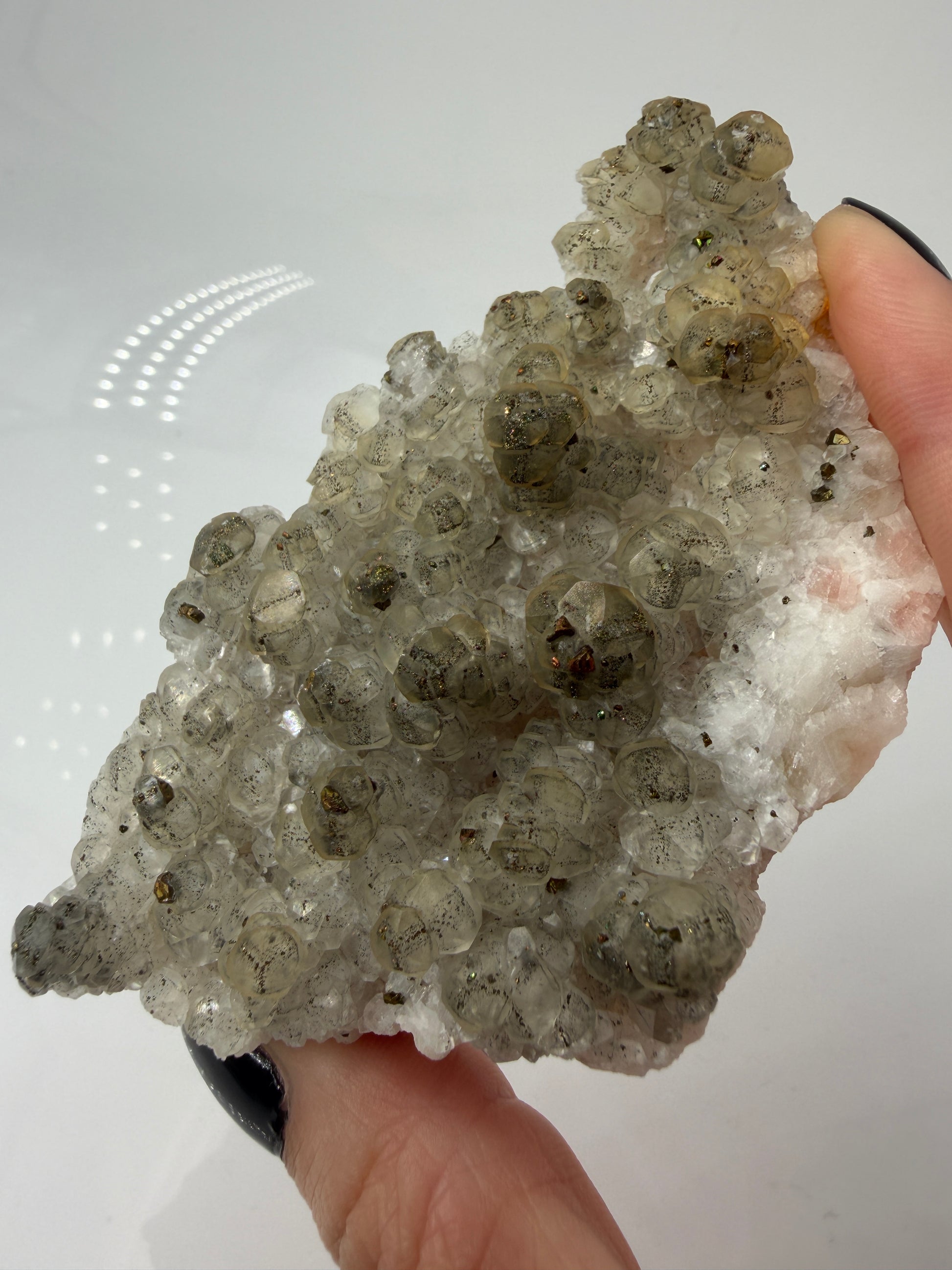 Weißer Calcit mit goldglänzenden Pyrit-Kristallen auf Gesteinsmatrix aus Herdringen, Sauerland.
