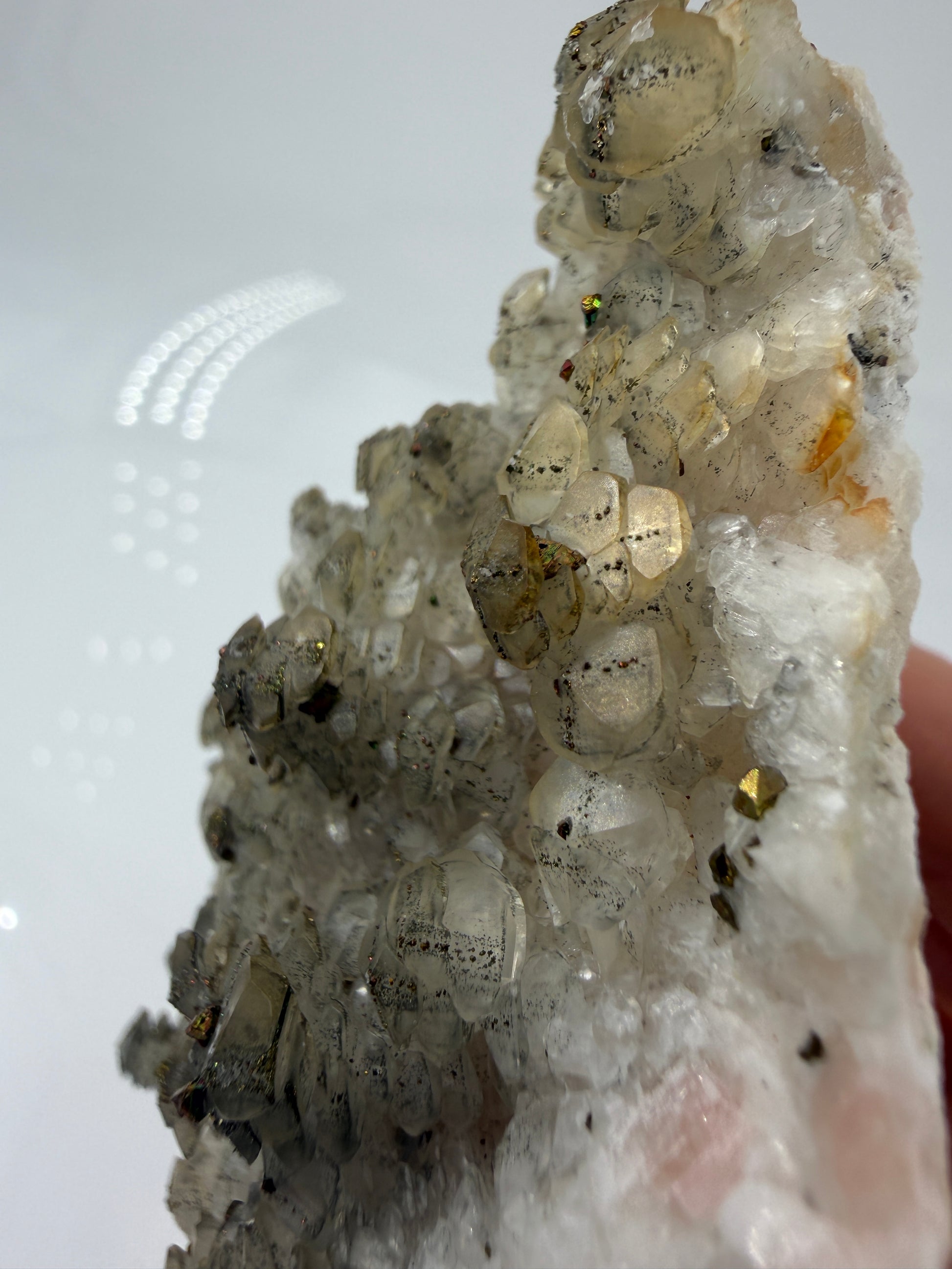 Weißer Calcit mit goldglänzenden Pyrit-Kristallen auf Gesteinsmatrix aus Herdringen, Sauerland.