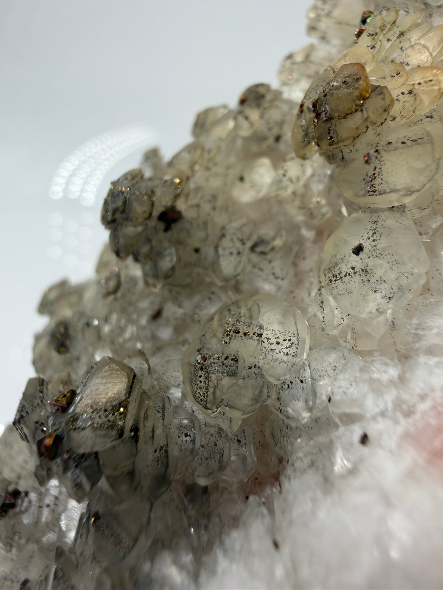 Weißer Calcit mit goldglänzenden Pyrit-Kristallen auf Gesteinsmatrix aus Herdringen, Sauerland.