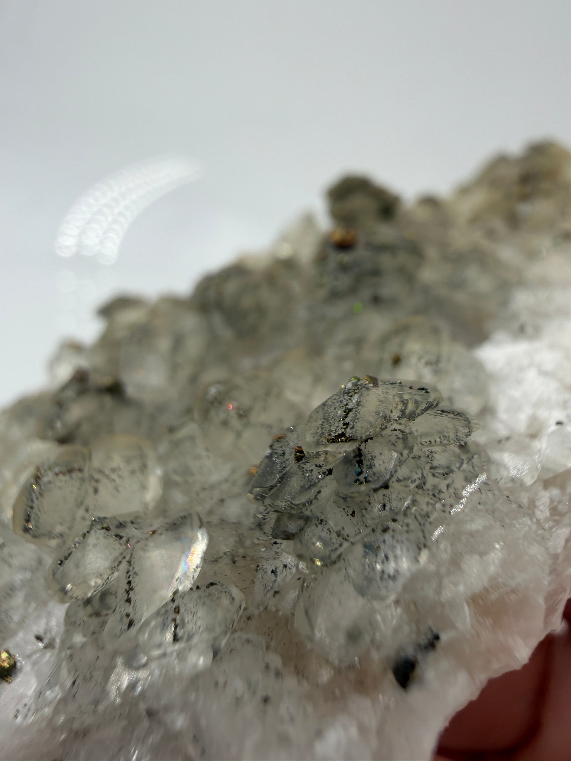 Weißer Calcit mit goldglänzenden Pyrit-Kristallen auf Gesteinsmatrix aus Herdringen, Sauerland.