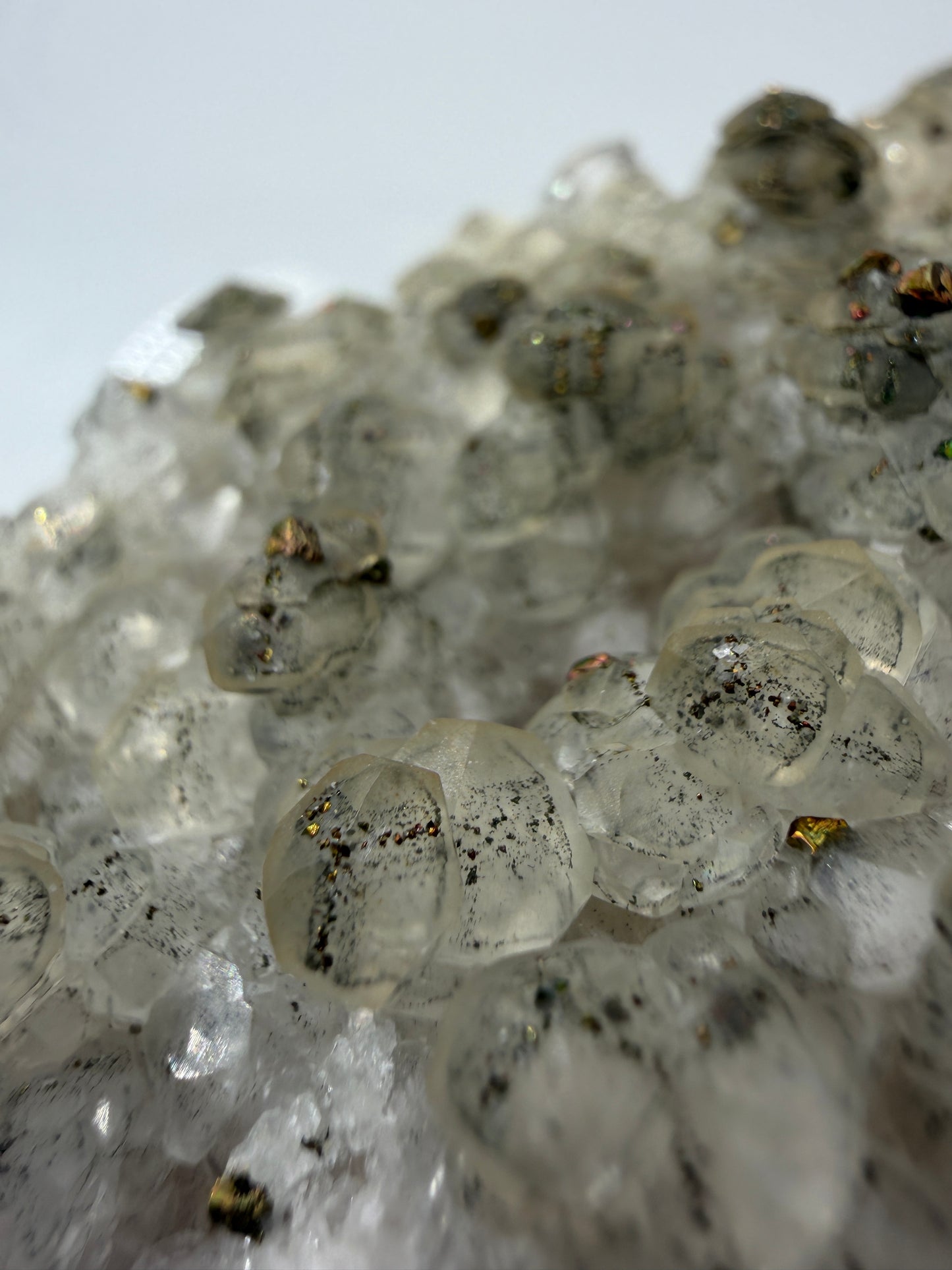 Weißer Calcit mit goldglänzenden Pyrit-Kristallen auf Gesteinsmatrix aus Herdringen, Sauerland.