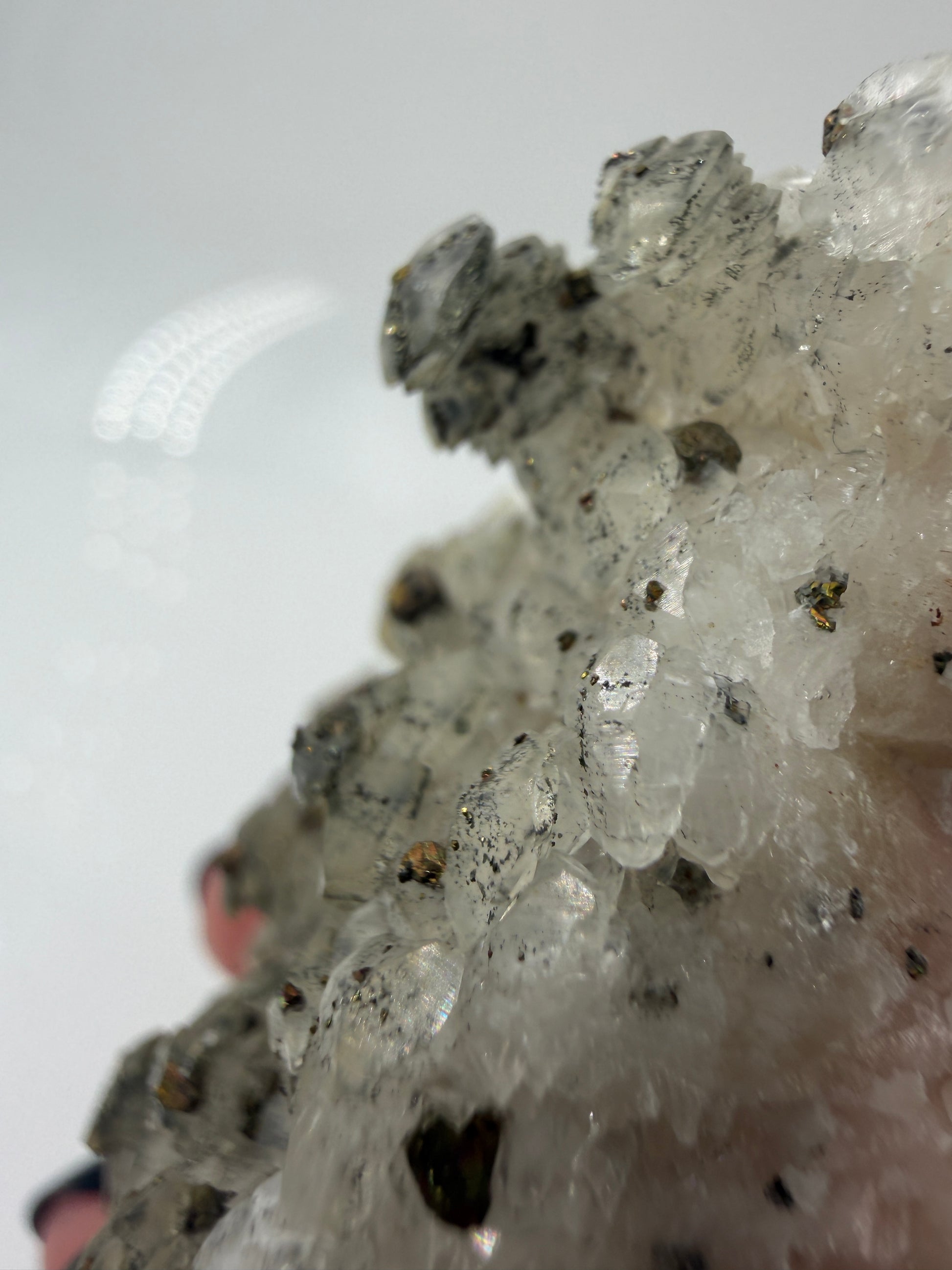 Weißer Calcit mit goldglänzenden Pyrit-Kristallen auf Gesteinsmatrix aus Herdringen, Sauerland.