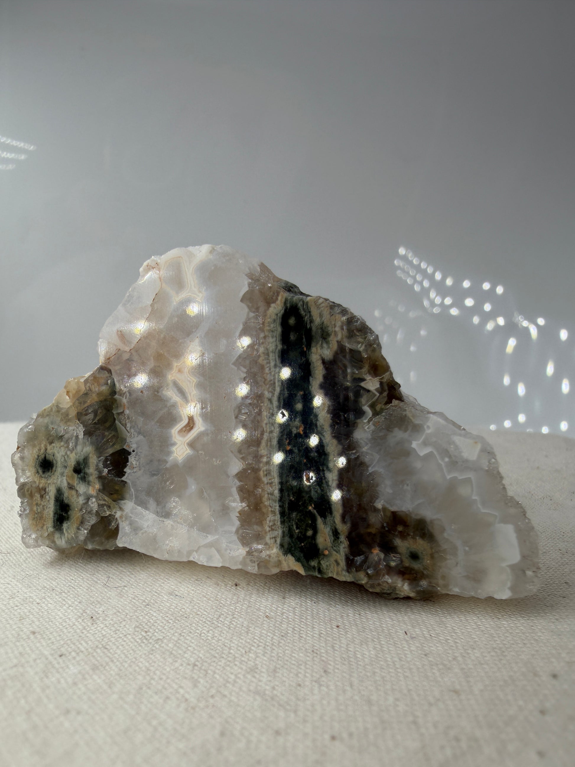 Polierte Platte aus sphärolitischem Chalcedon mit sichtbaren, kreisförmigen Mineral-Strukturen.