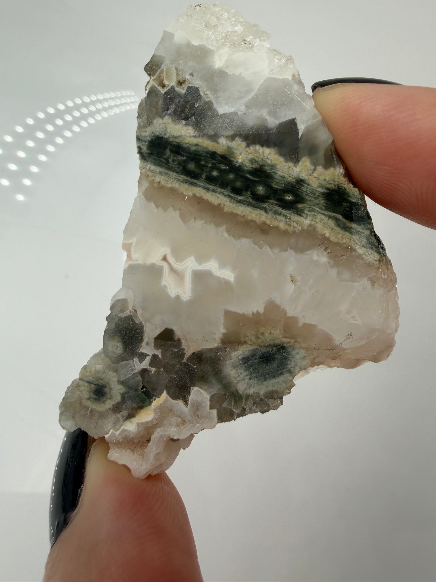 Polierte Platte aus sphärolitischem Chalcedon mit sichtbaren, kreisförmigen Mineral-Strukturen.