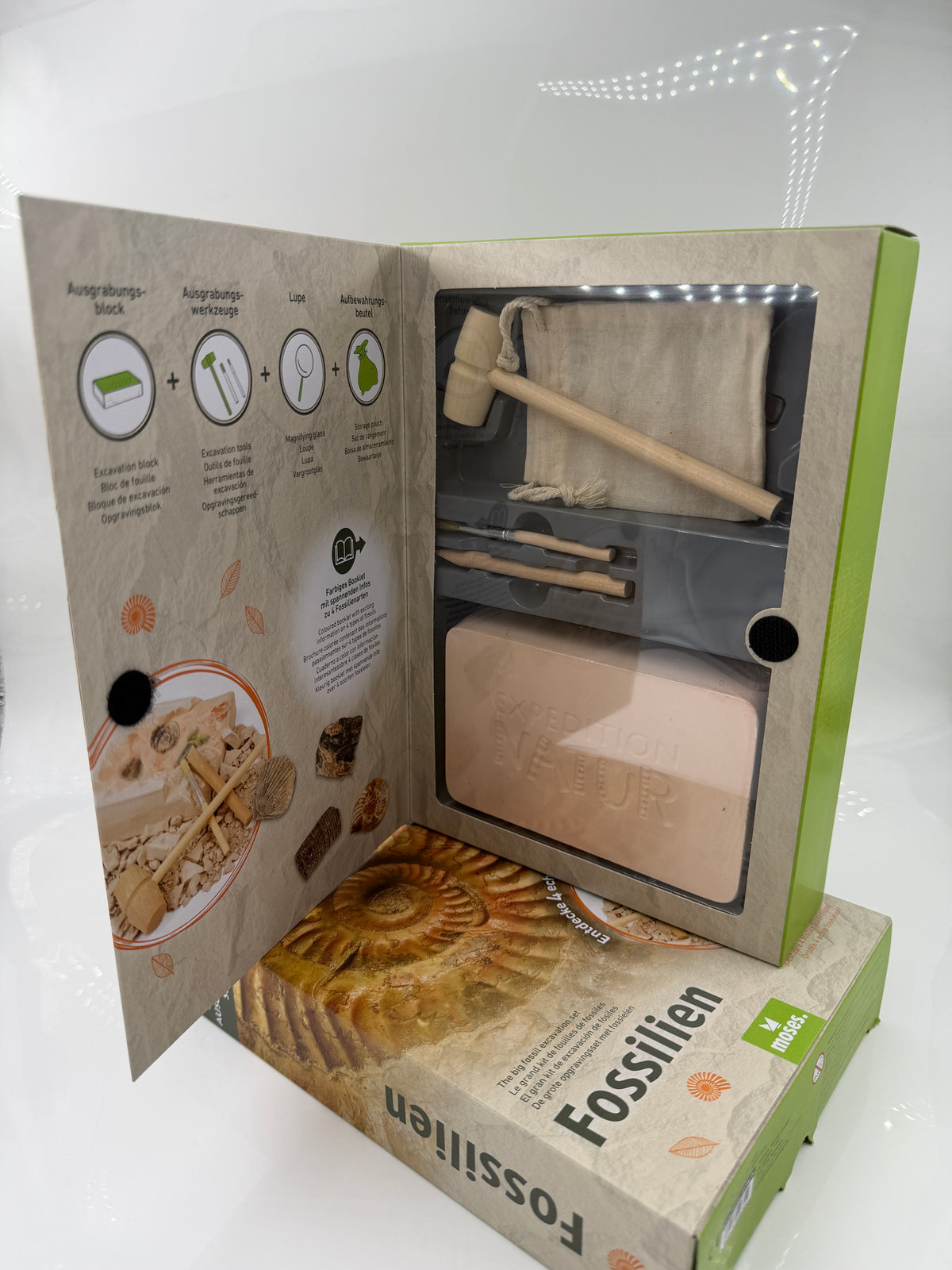 Fossilien-Ausgrabungsset mit Gipsblock, vier echten Fossilien, Holzwerkzeugen, Lupe, Aufbewahrungsbeutel und Booklet