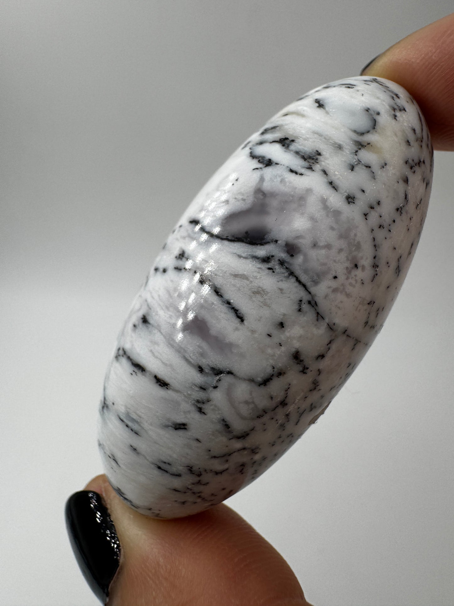 Ein eiförmig geschliffener, weißer Dendritenopal mit markanten, schwarzen Verästelungen und hochglänzender Oberfläche.