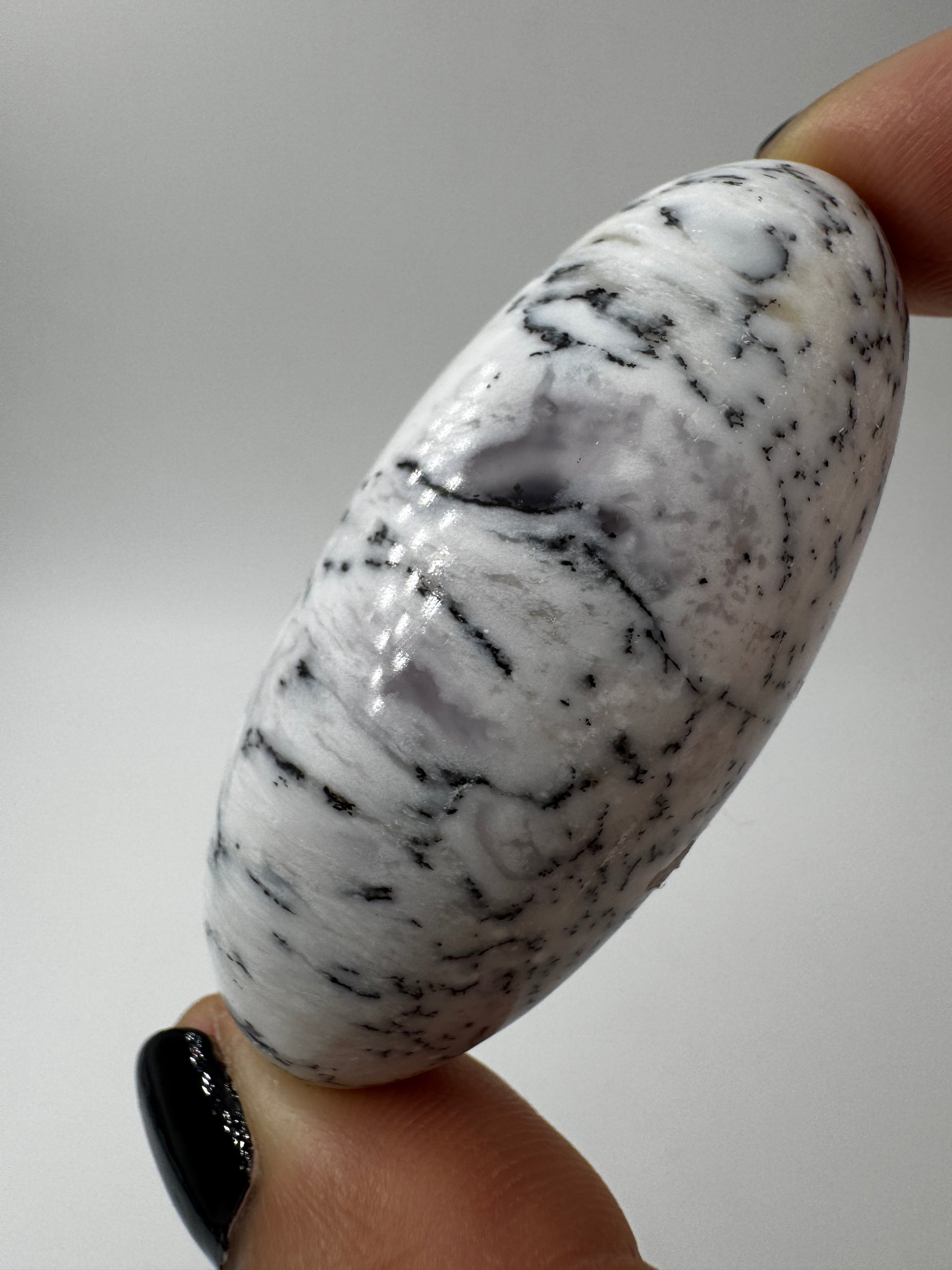 Ein eiförmig geschliffener, weißer Dendritenopal mit markanten, schwarzen Verästelungen und hochglänzender Oberfläche.