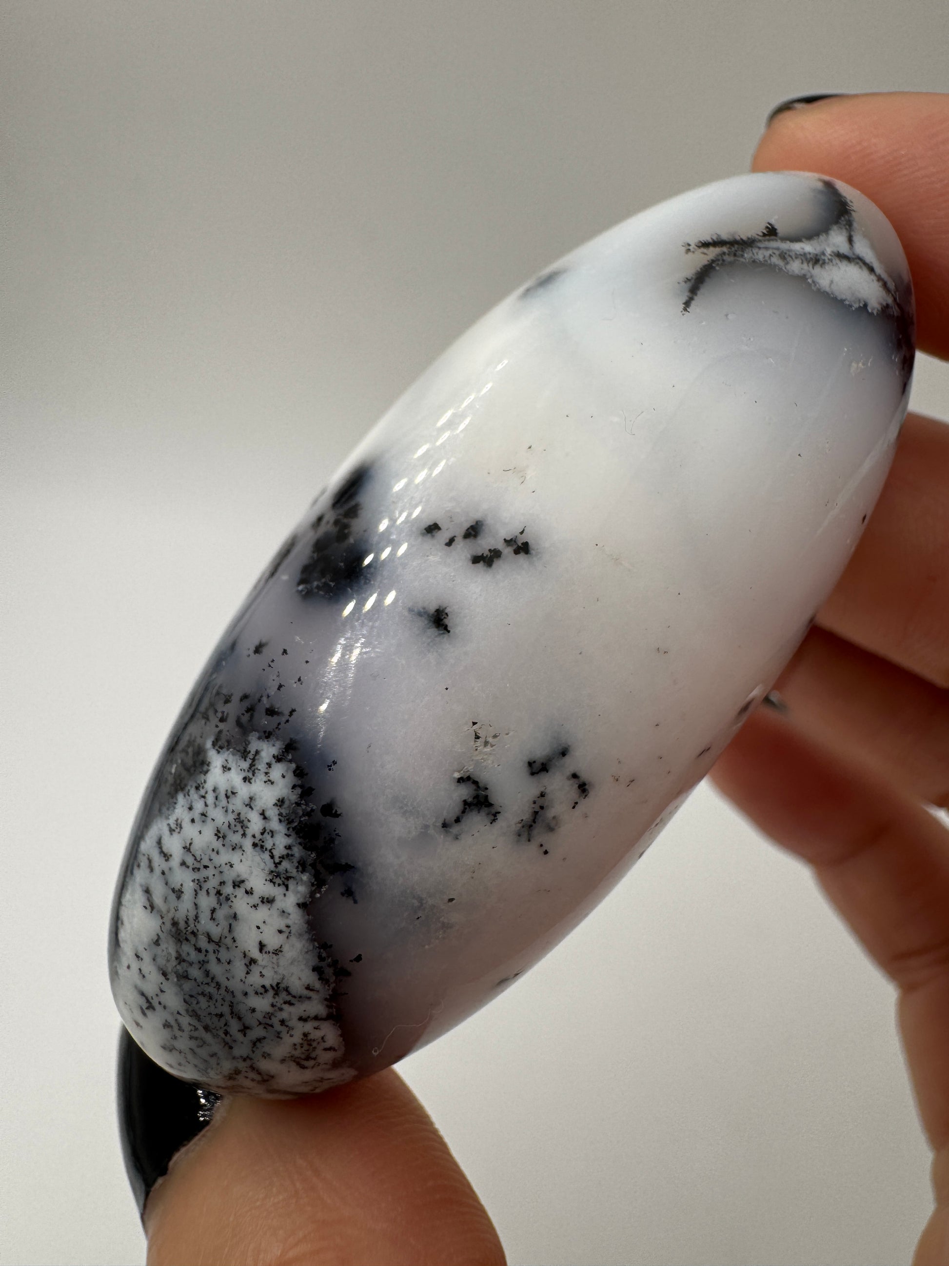 Ein eiförmig geschliffener, weißer Dendritenopal mit markanten, schwarzen Verästelungen und hochglänzender Oberfläche.